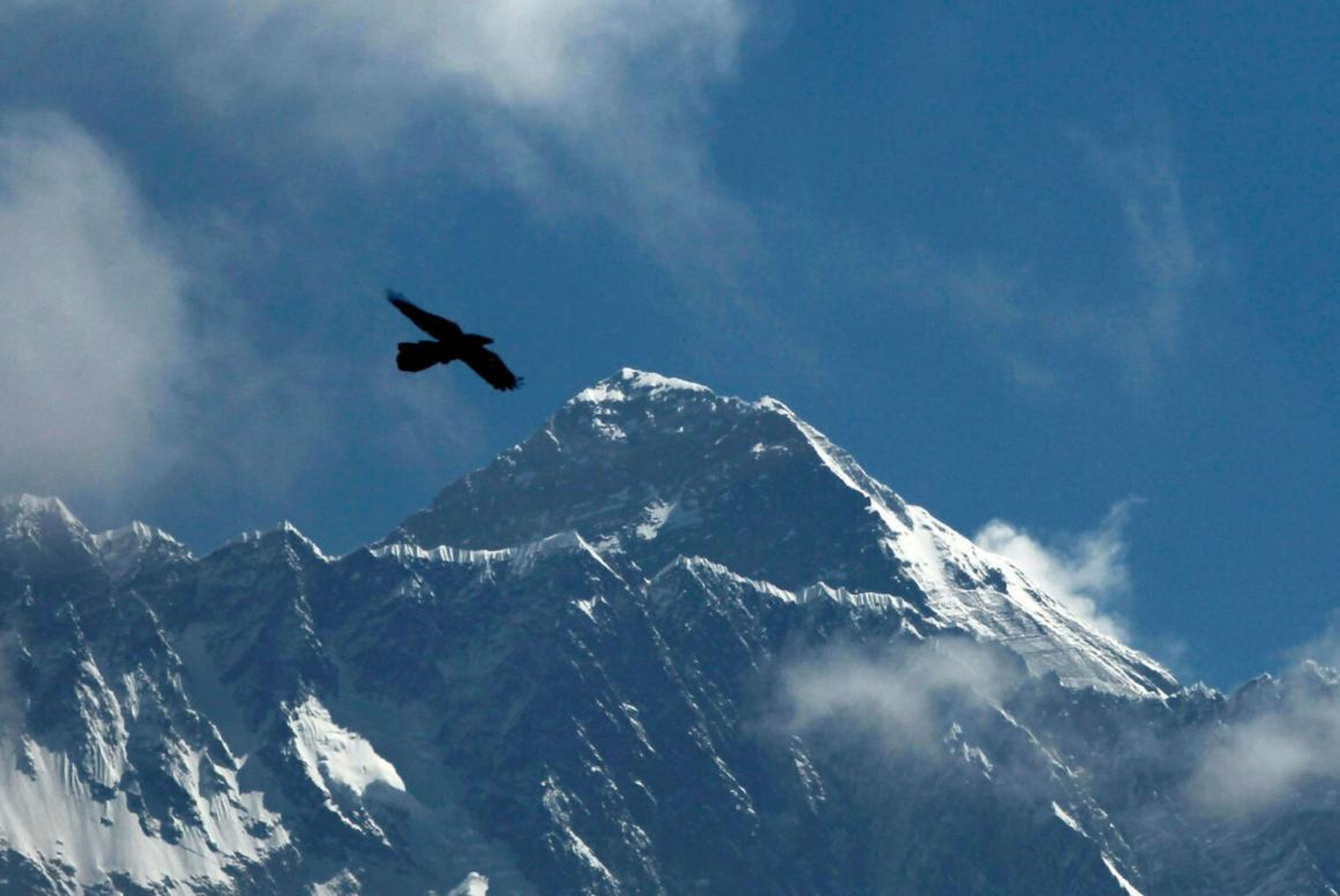 Un pájaro vuela sobre el monte Everest. Visto desde Nambhe Bajar, distrito de Solukhumbu, Nepal. 27 de mayo de 2019
