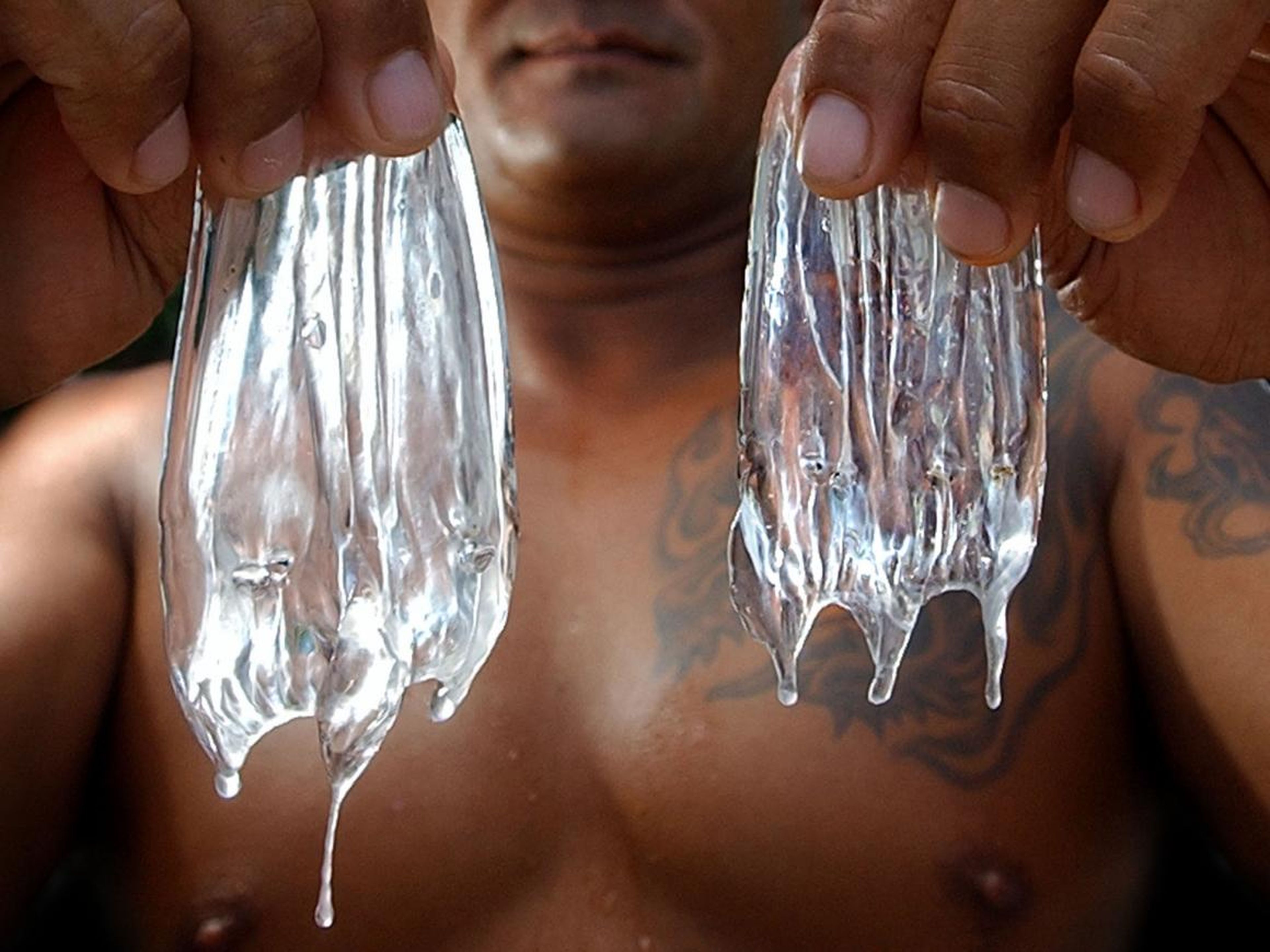 Curtis Cuba, un socorrita de Hawai, sostiene dos medusas en la playa de Waikiki, el 22 de julio de 2003. Las cápsulas que gotean pueden causar una erupción cuando entran en contacto con la piel, incluso después de que haya muerto la medusa.