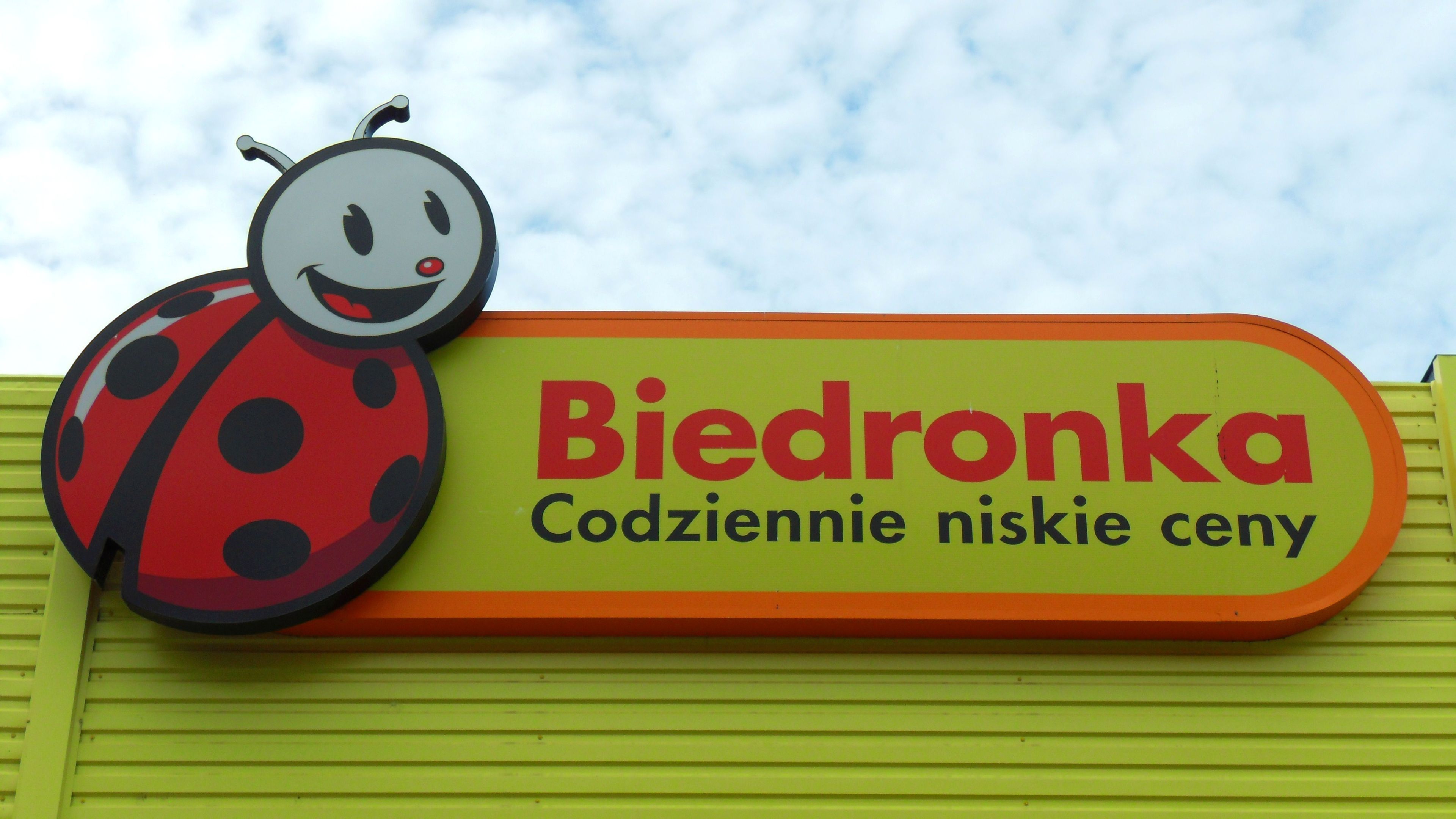 Biendronka, Polonia