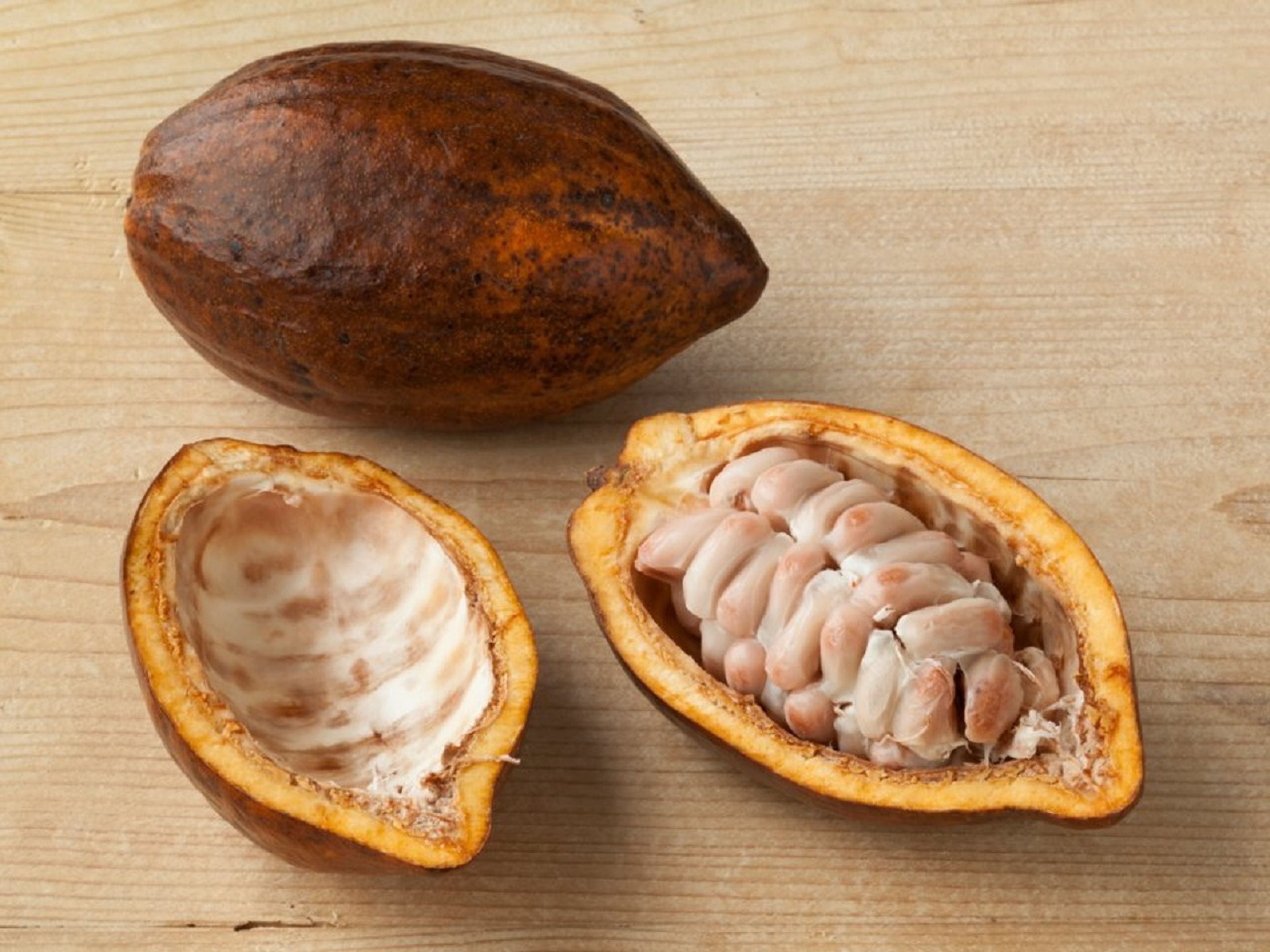 Las nuevas barras de chocolate sin azúcar se aprovecharán del sabor que aportan los granos de cacao y dulzura de la pulpa de cacao blanco, que proviene de la fruta de cacao