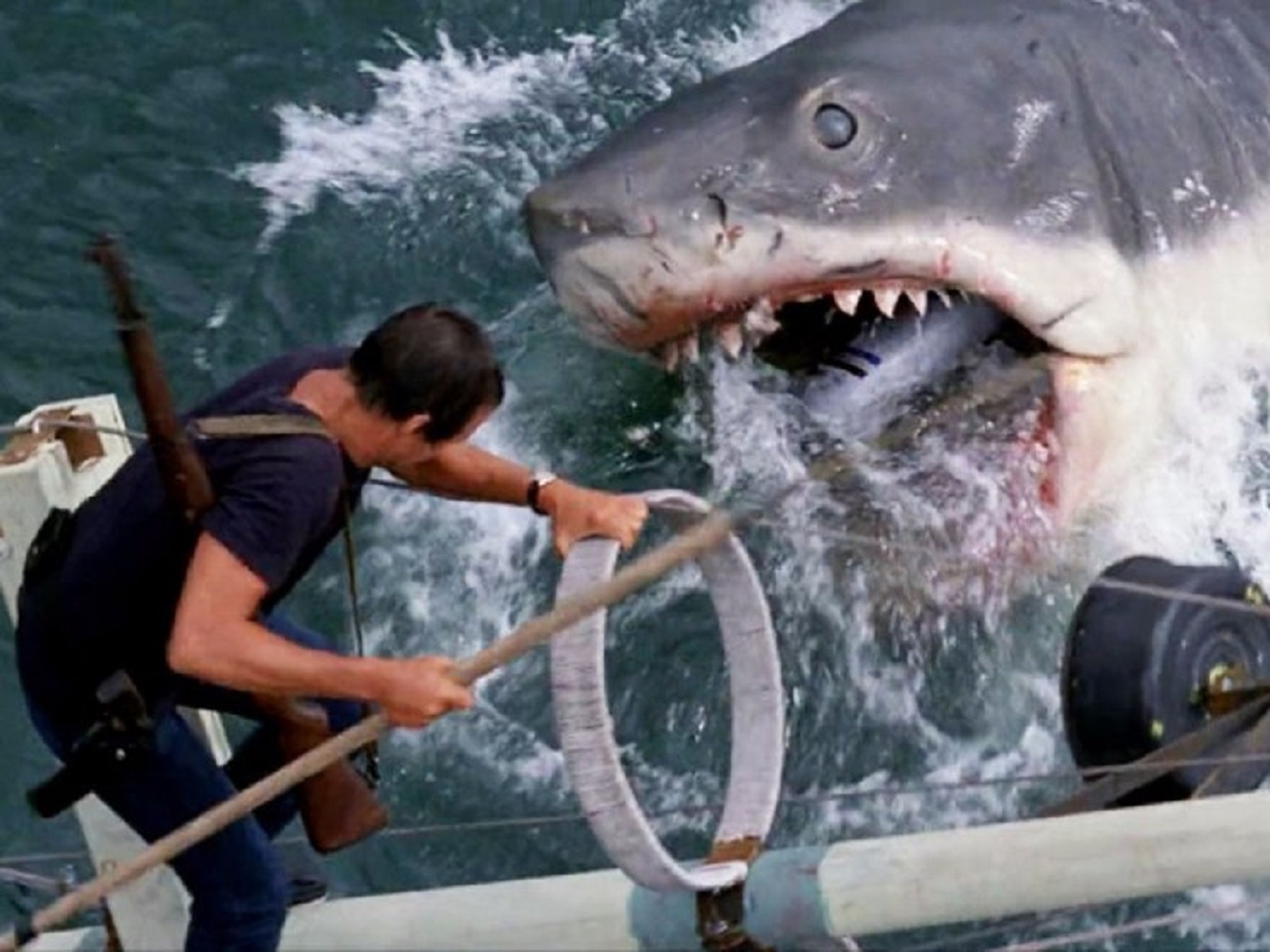 El Demogorgon se basó en Tiburón, el éxito de Steven Spielberg
