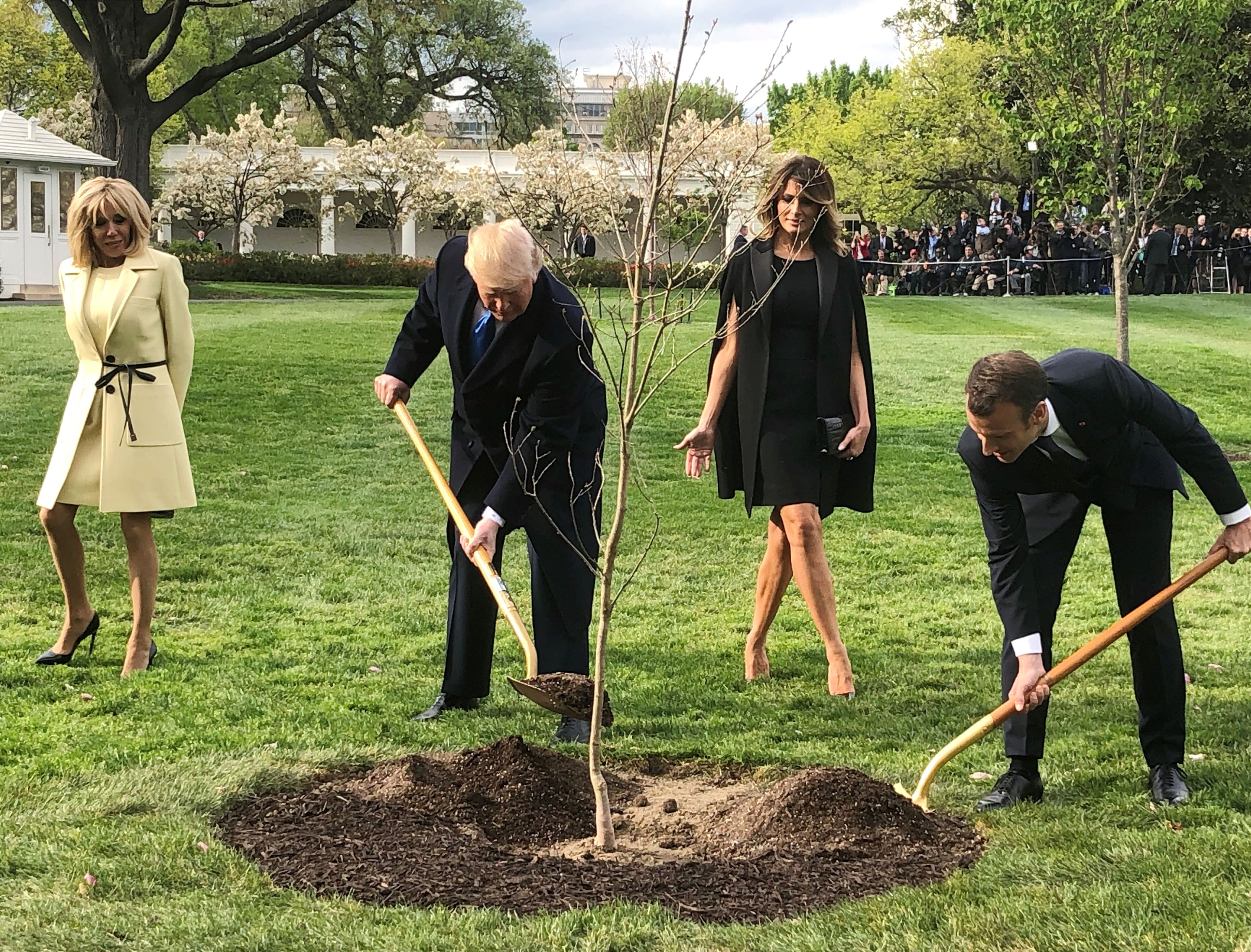 Donald Trump, presidente de los Estados Unidos, y Emmanuel Macron, presidente de Francia, plantan un árbol frente a la Casa Blanca.