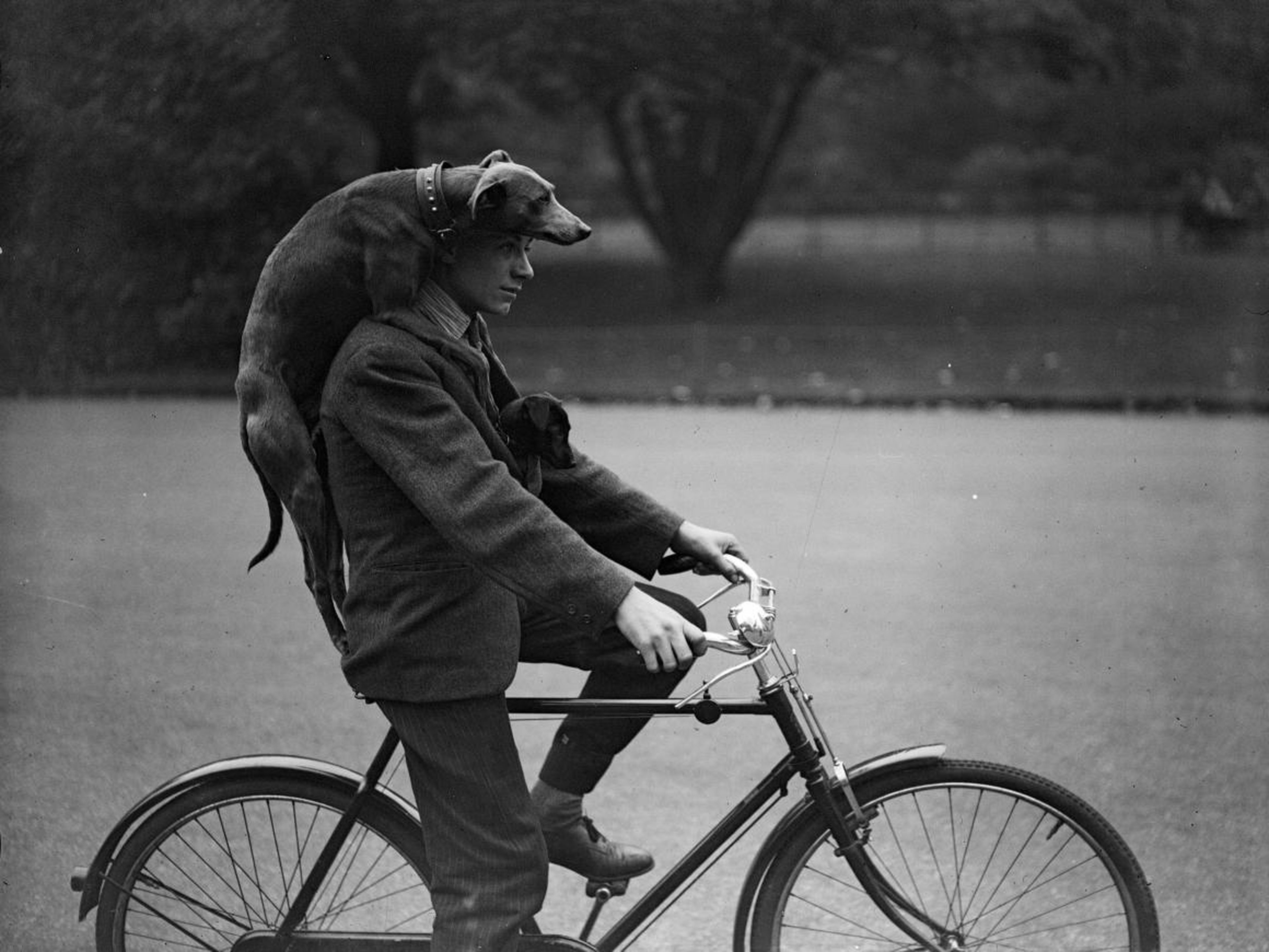 A man cycling through London's Battersea in the '30s.