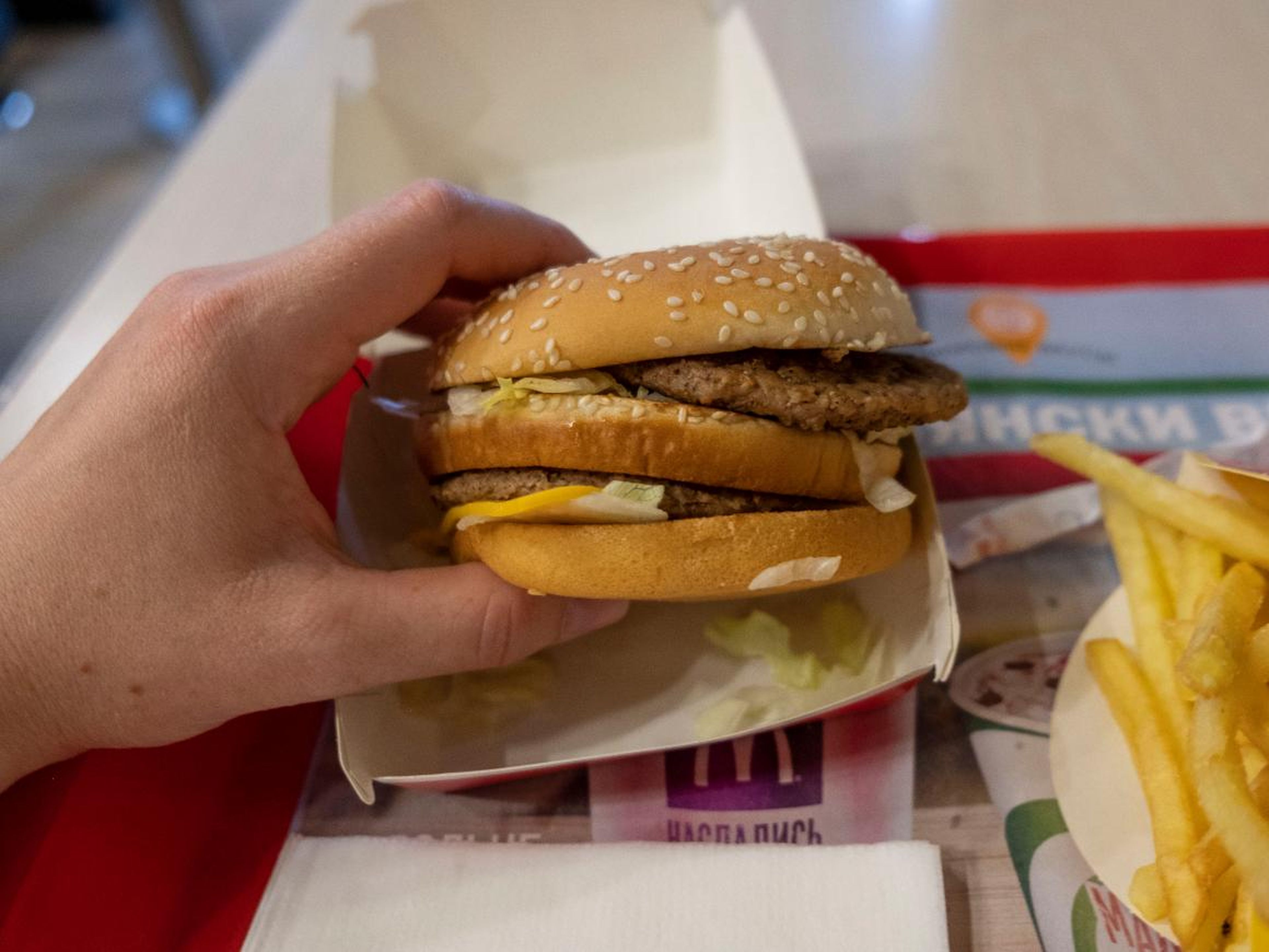 I wasn't too impressed by the look of the Big Mac when I first opened it.
