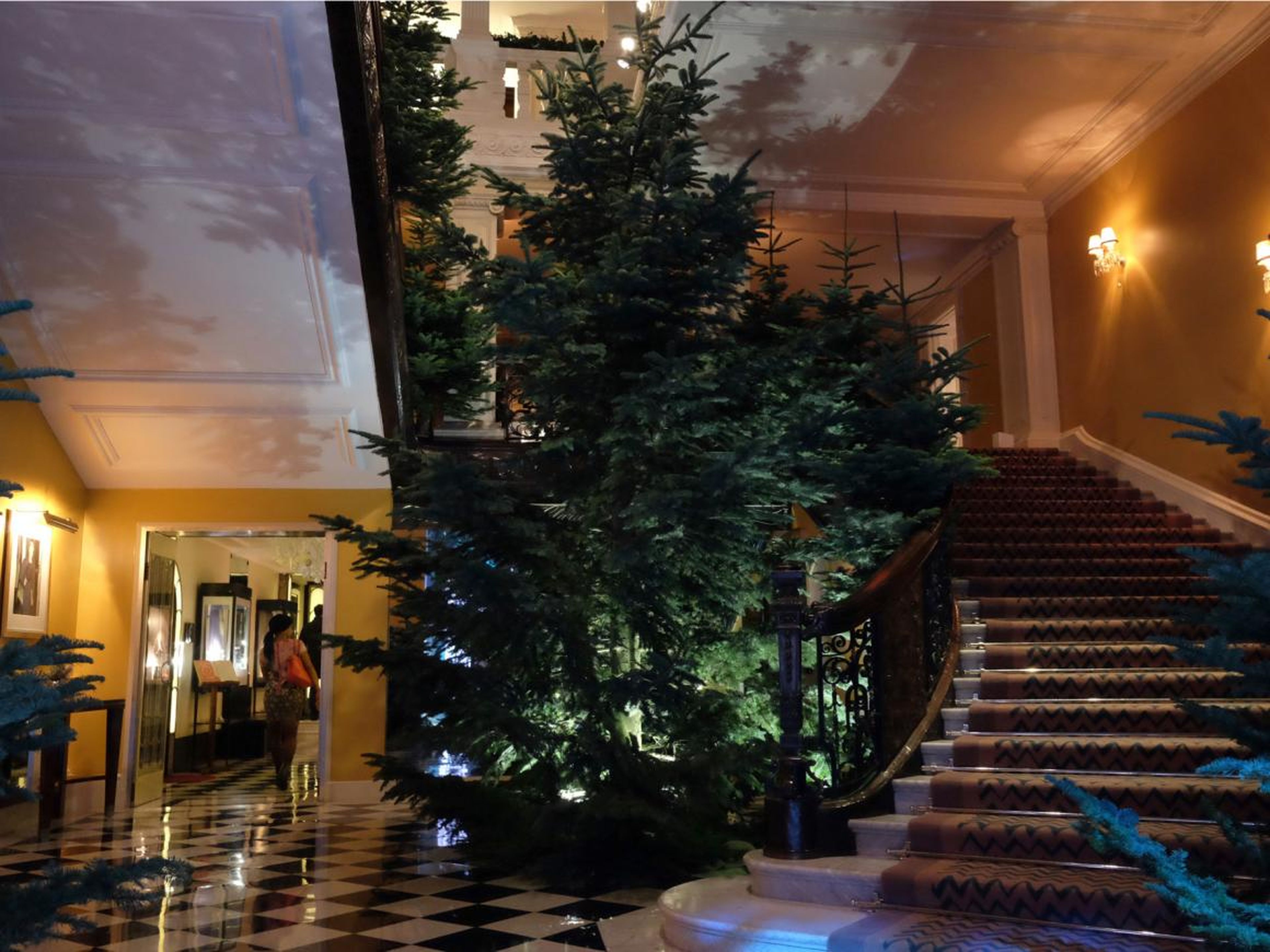 Ive designed a Christmas tree without any decorations for the Claridges hotel in London.