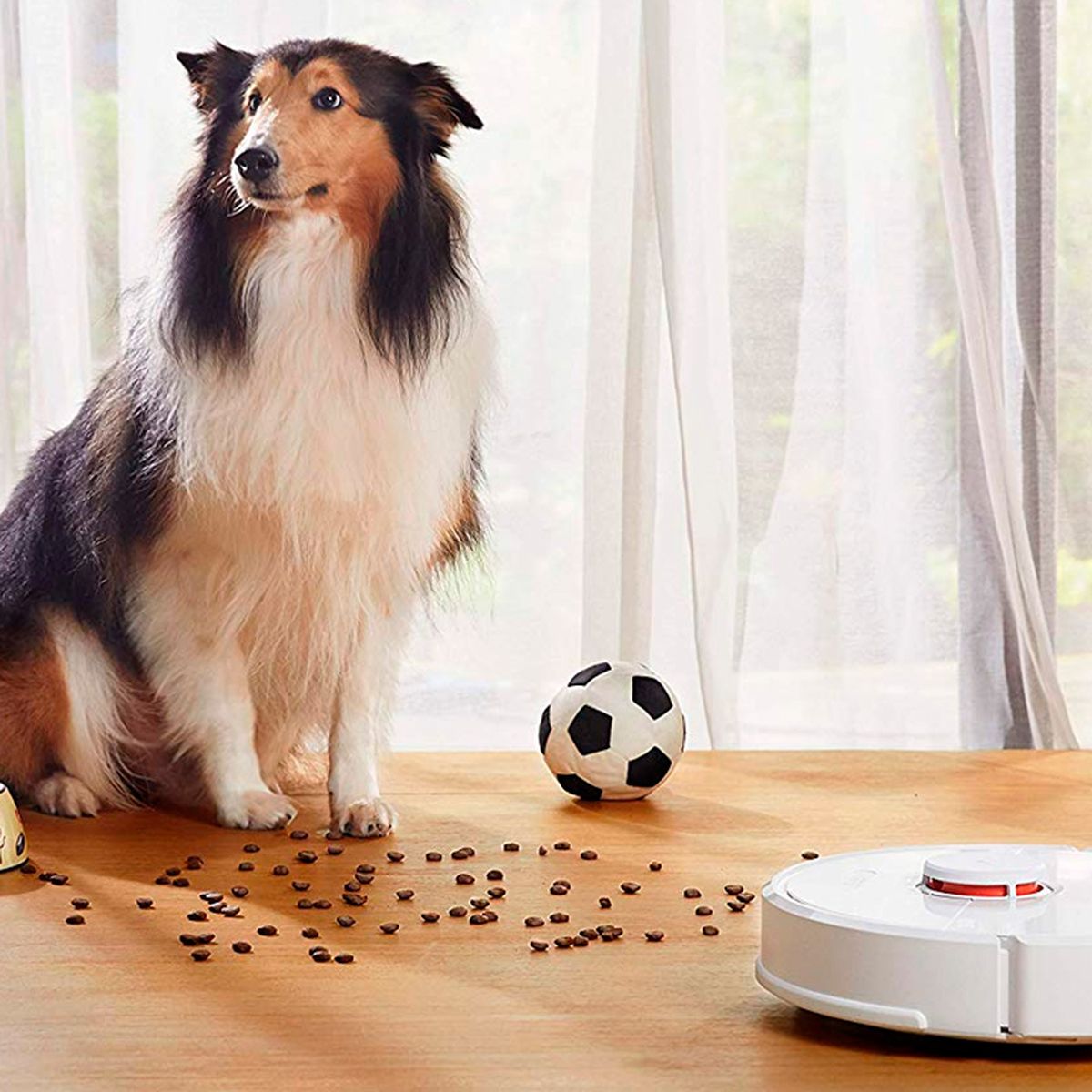 El perro robótico de Xiaomi es ahora más perro que nunca, pero