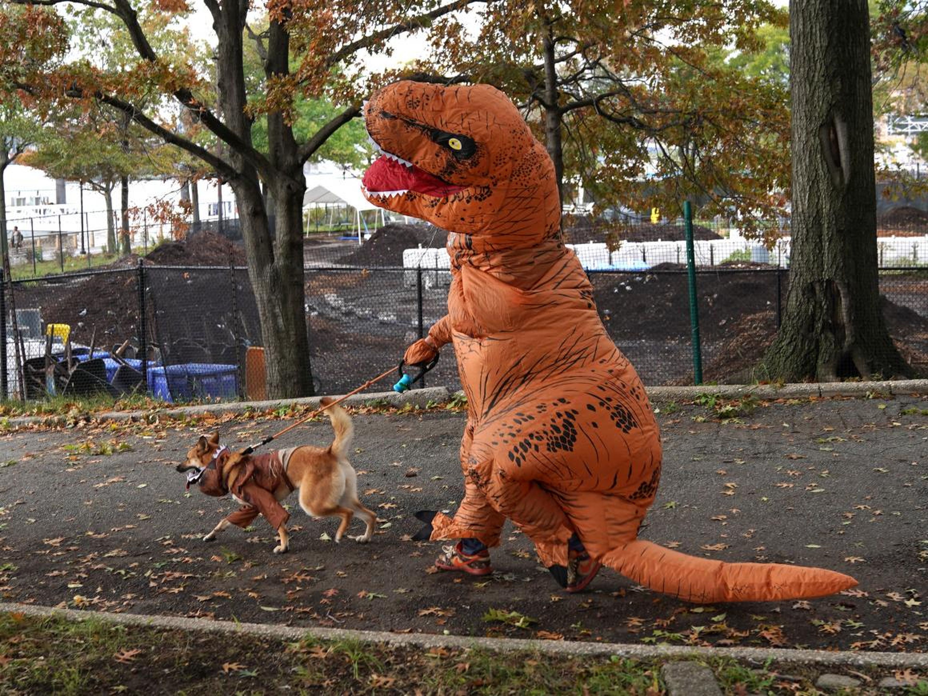A dog and its owner in costume are seen during the 28th Annual Tompkins Square Halloween Dog Parade.