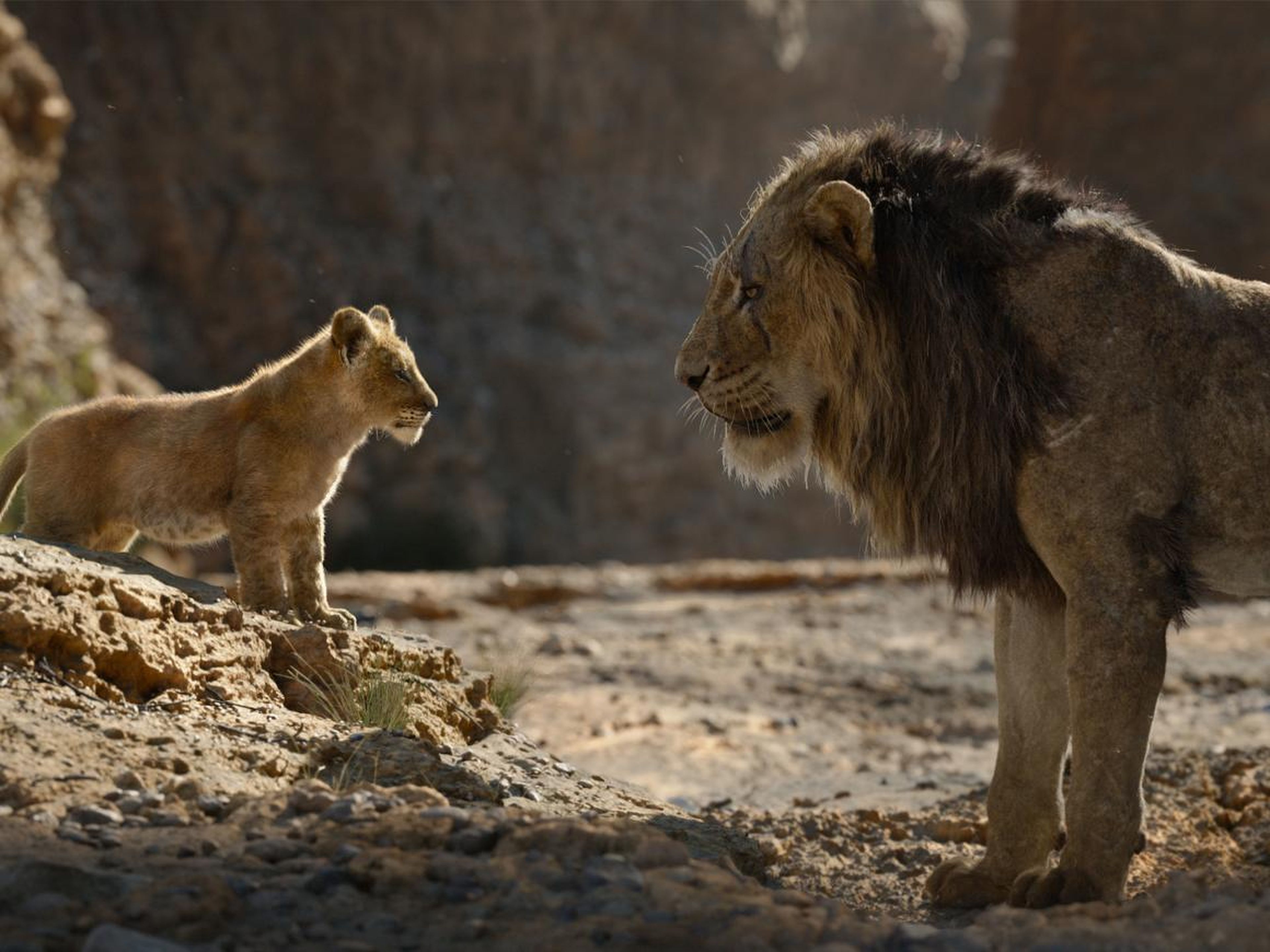 Las críticas al remake de Disney 'El rey león': belleza sin alma
