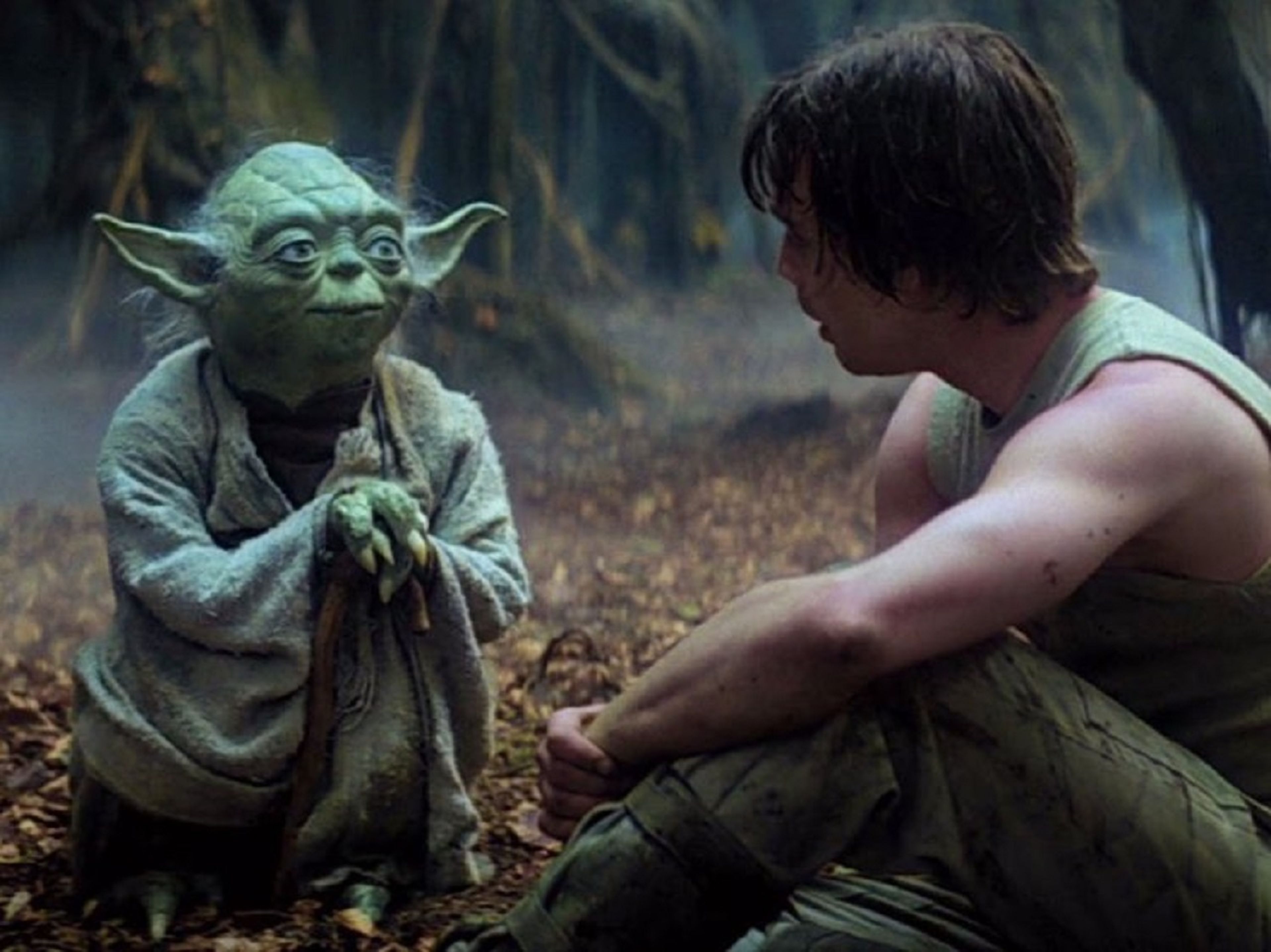 El entrenamiento de Yoda a Luke fue similar al entrenamiento de Kali con Eleven en la 2º temporada