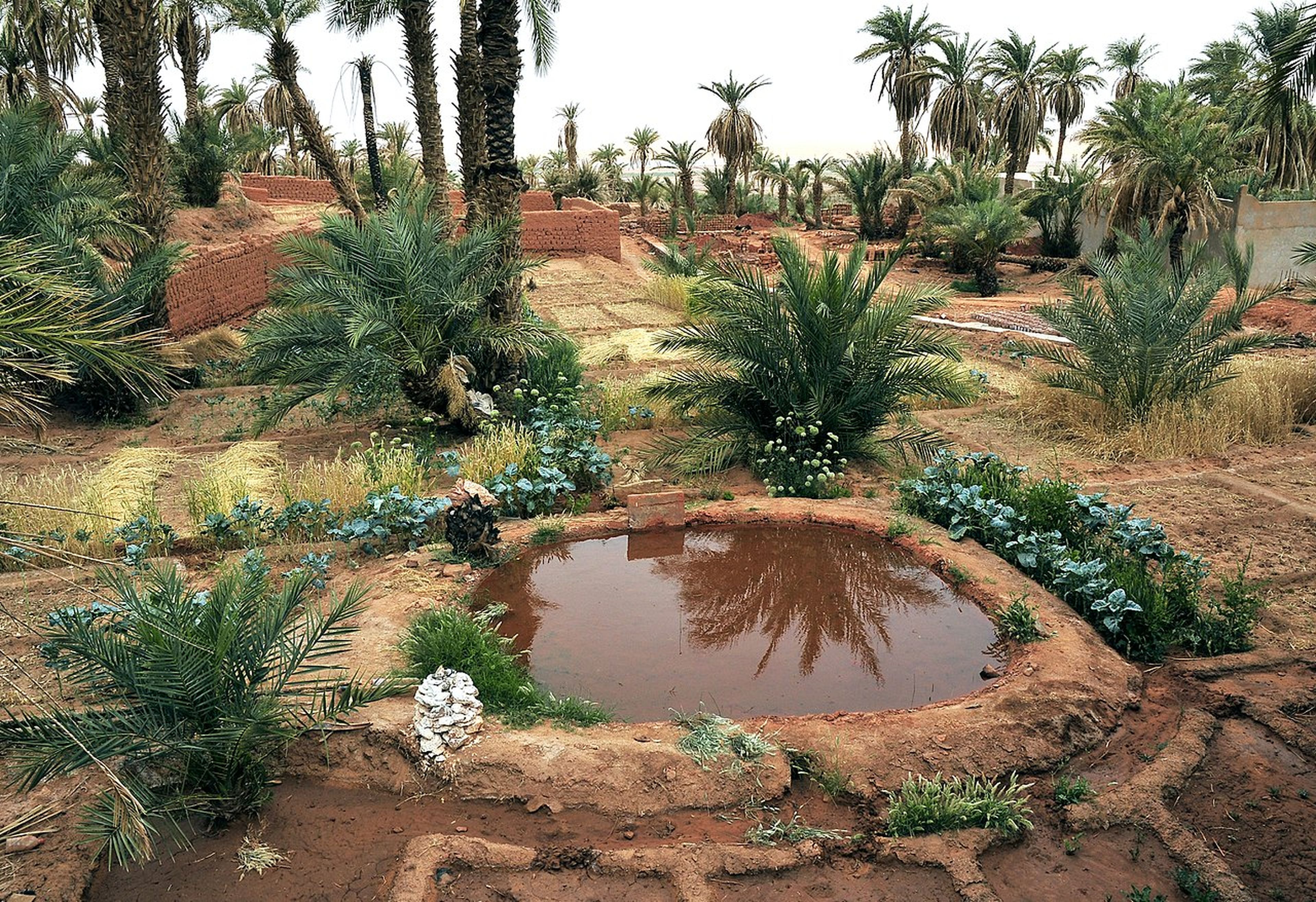 Timimoun, Argelia