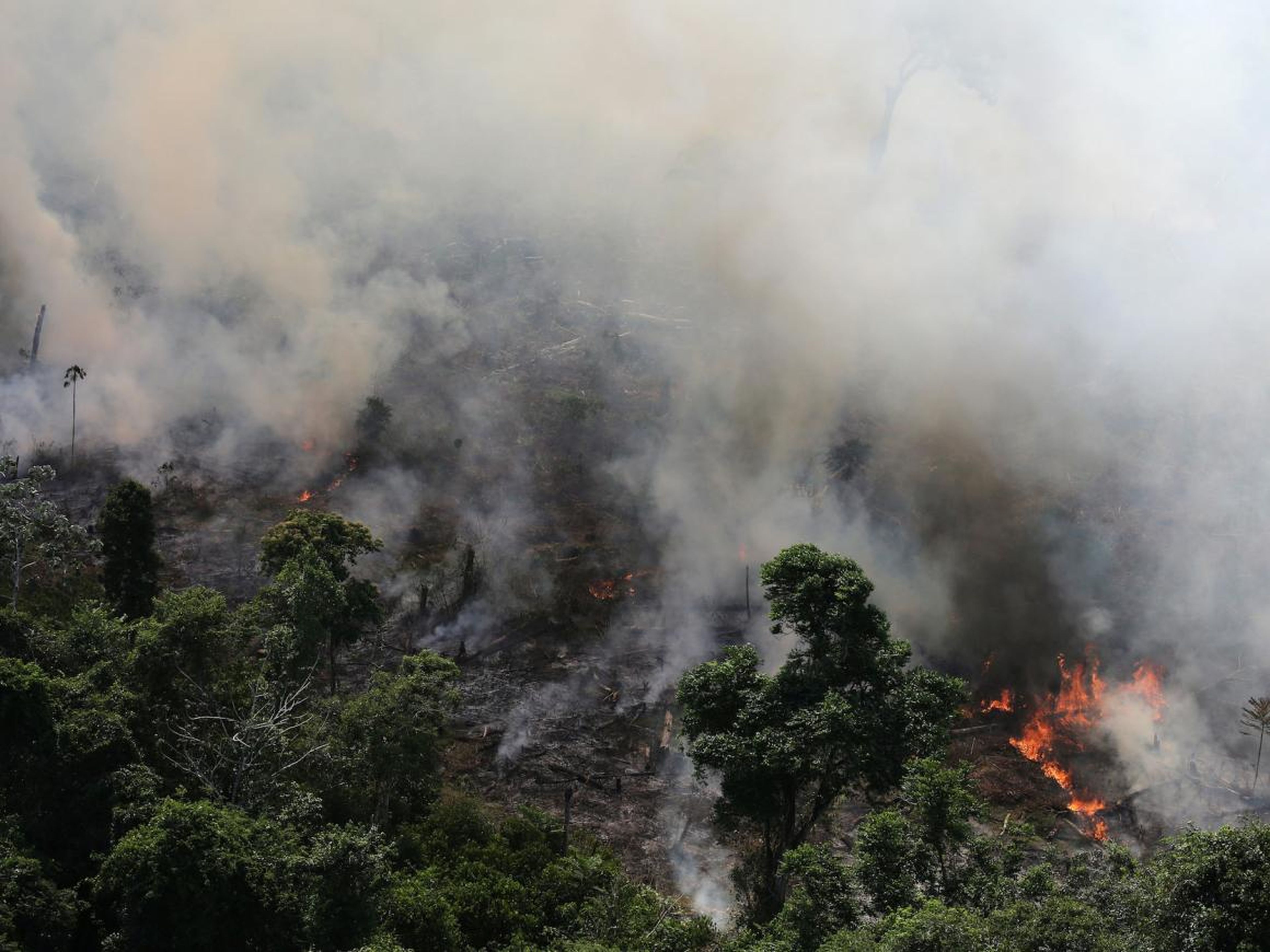 Un trozo de la selva amazónica ardiendo cerca de la ciudad de Novo Progresso, Brasil.