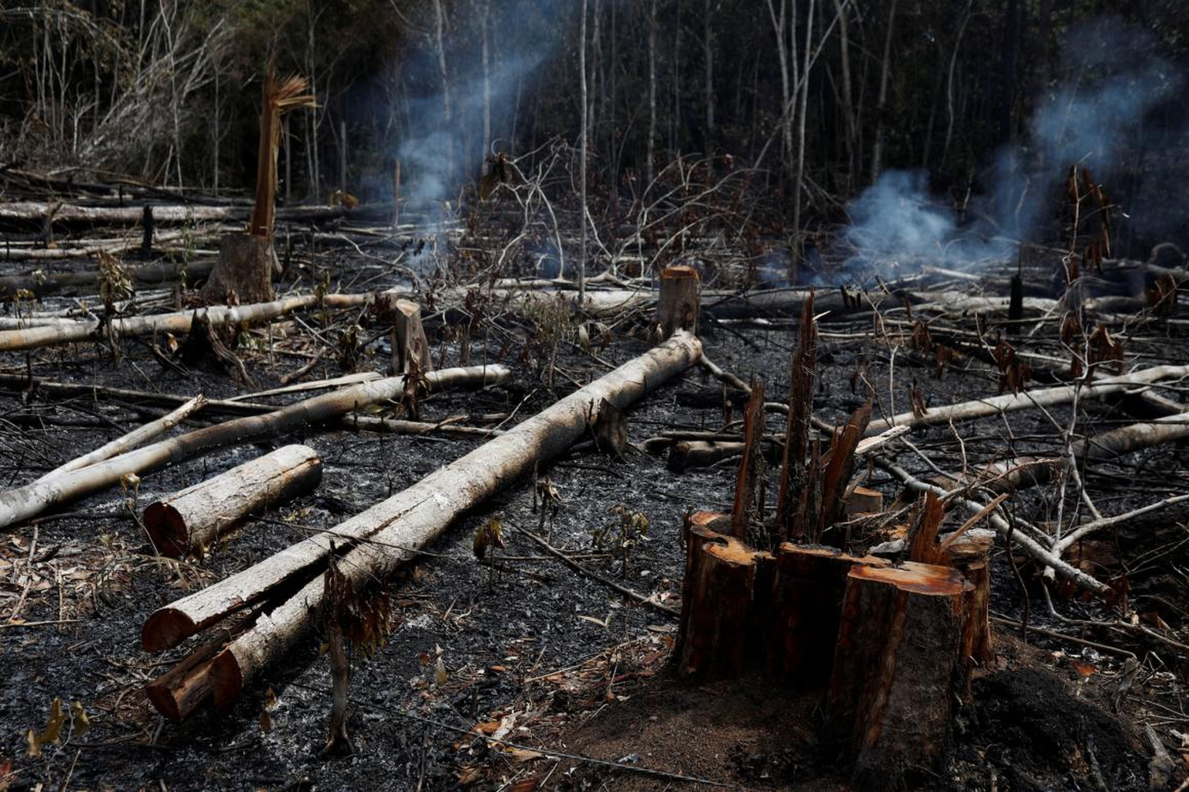 Un tramo de selva amazónica se quema durante la tala por parte de madereros y agricultores en Novo Airao, estado de Amazonas, Brasil, el 21 de agosto de 2019.