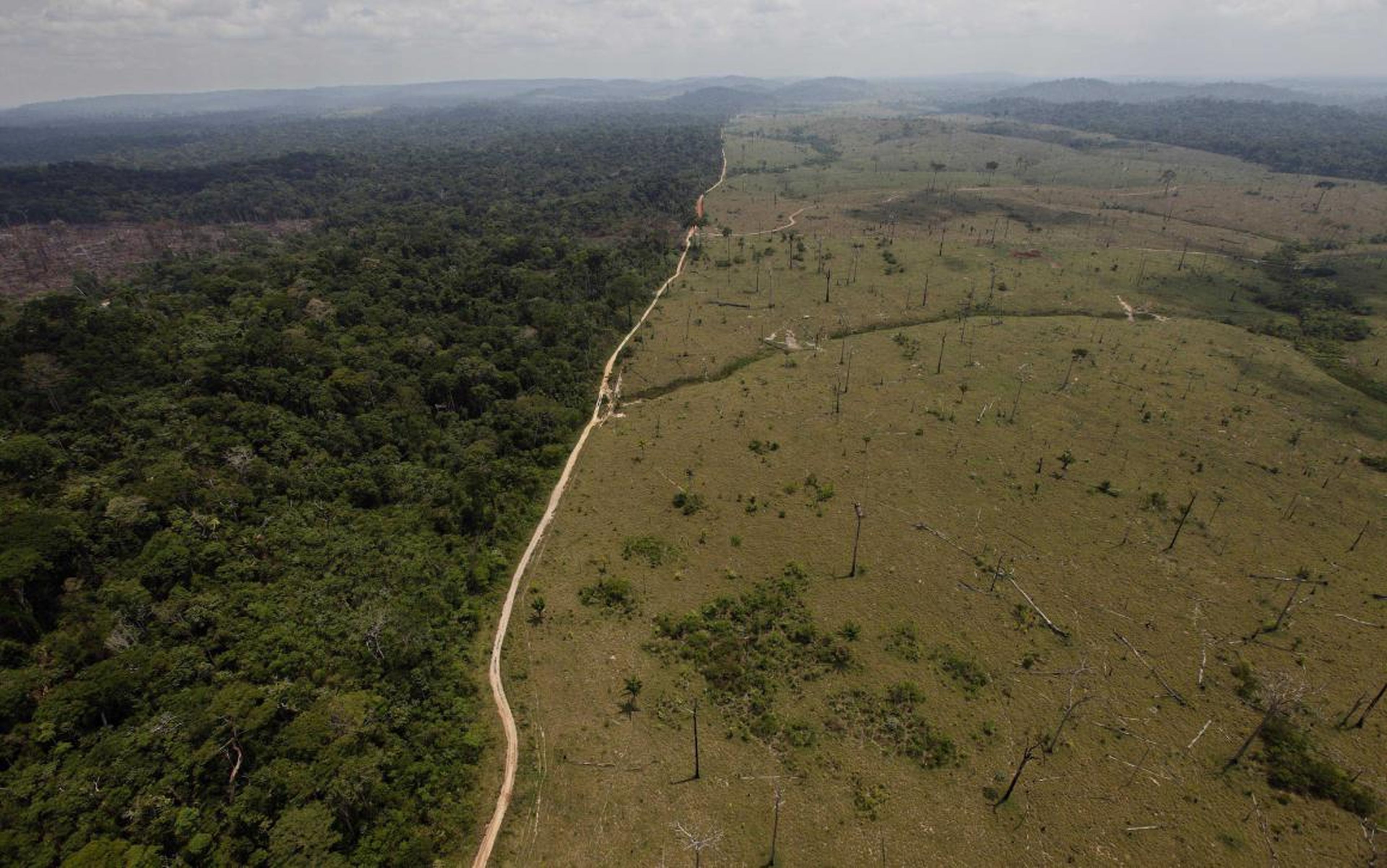 Un área deforestada cerca de Novo Progresso, en el norteño estado brasileño de Pará, en 2009.