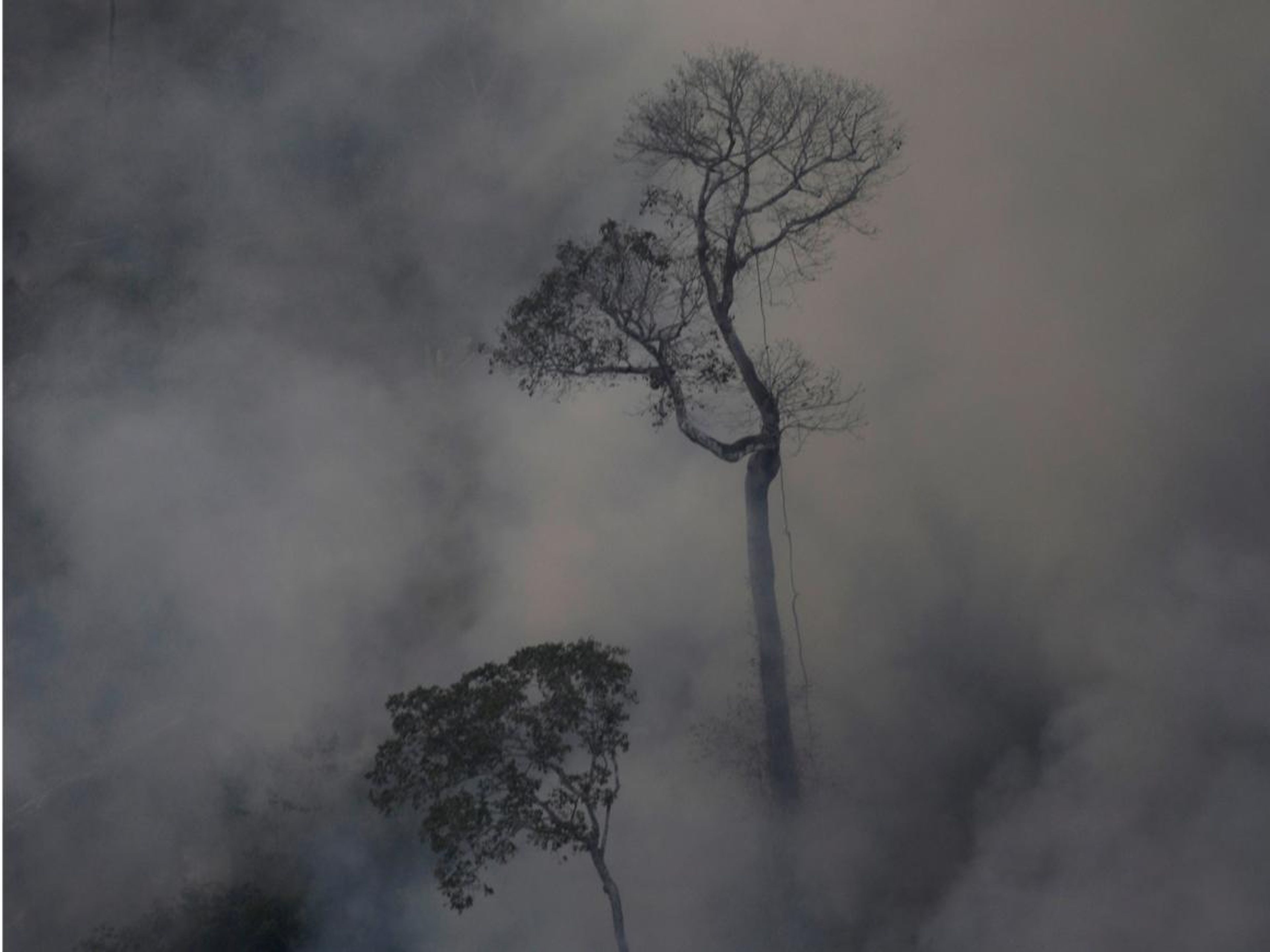 Humo sobre un incendio en la selva amazónica cerca de Porto Velho el 21 de agosto de 2019.