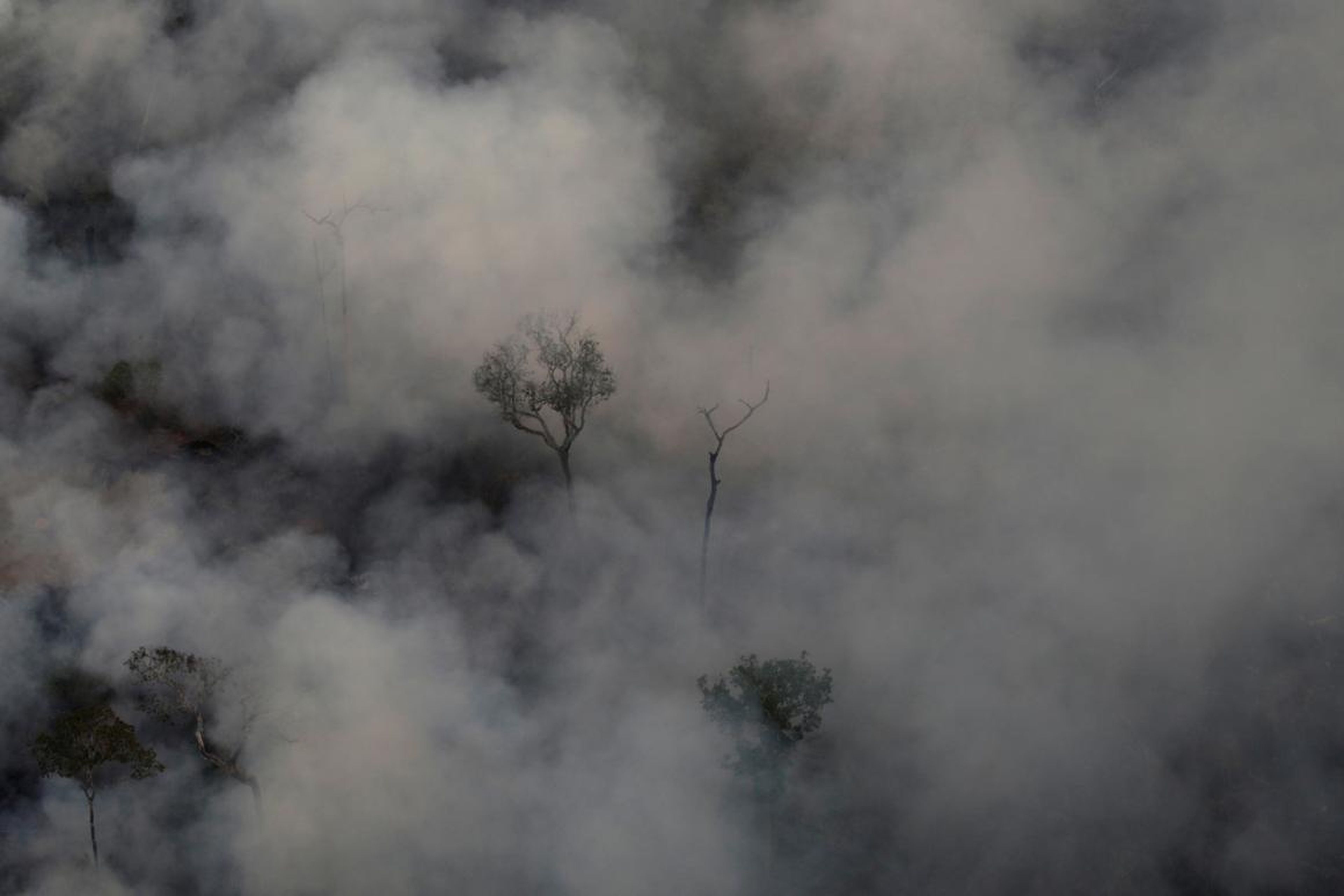 El humo consume el aire sobre un incendio en la selva amazónica cerca de Porto Velho el 21 de agosto de 2019.