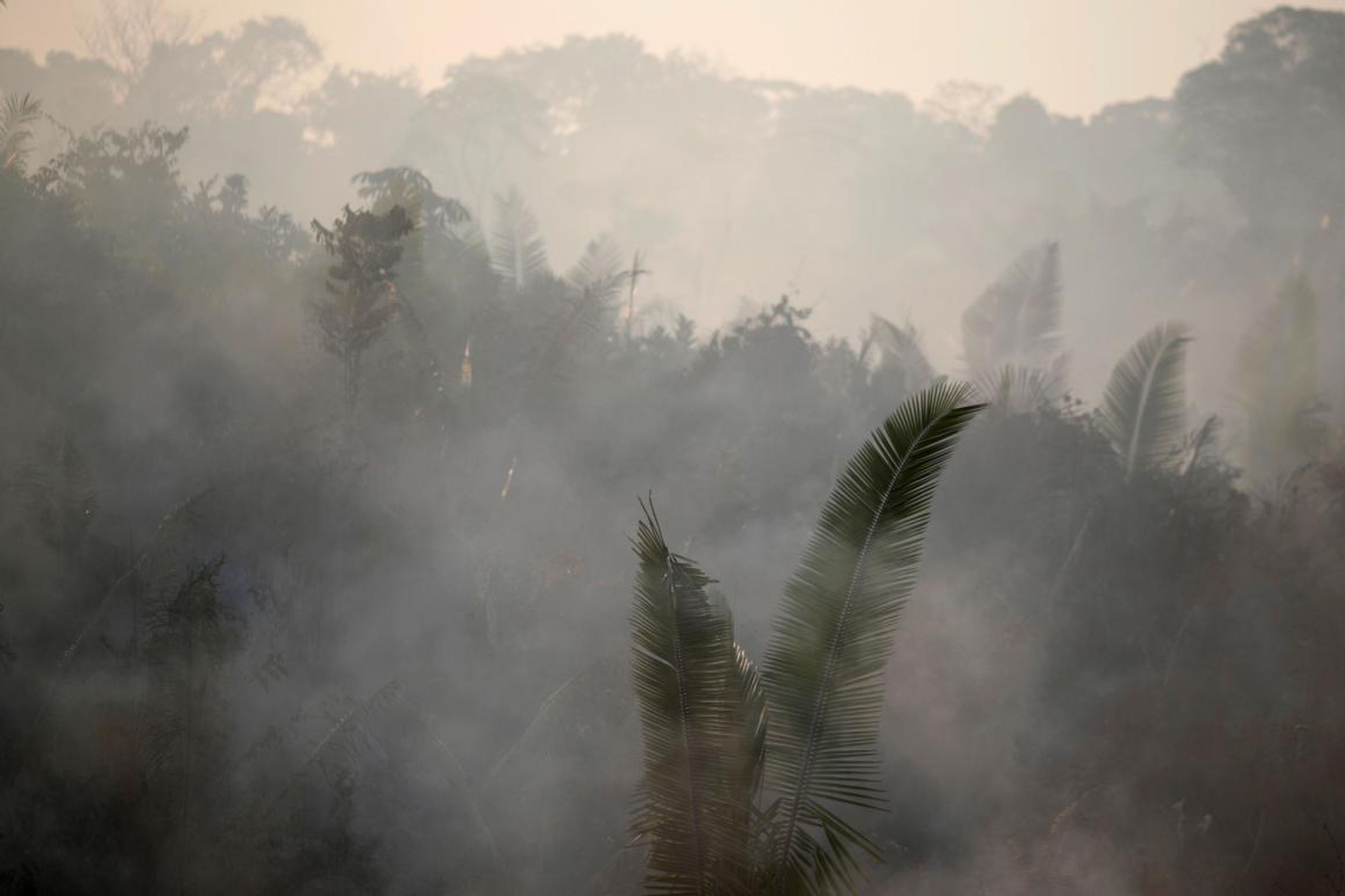 Un área de la selva amazónica cerca de Humaita, Brasil, arde el 14 de agosto de 2019.