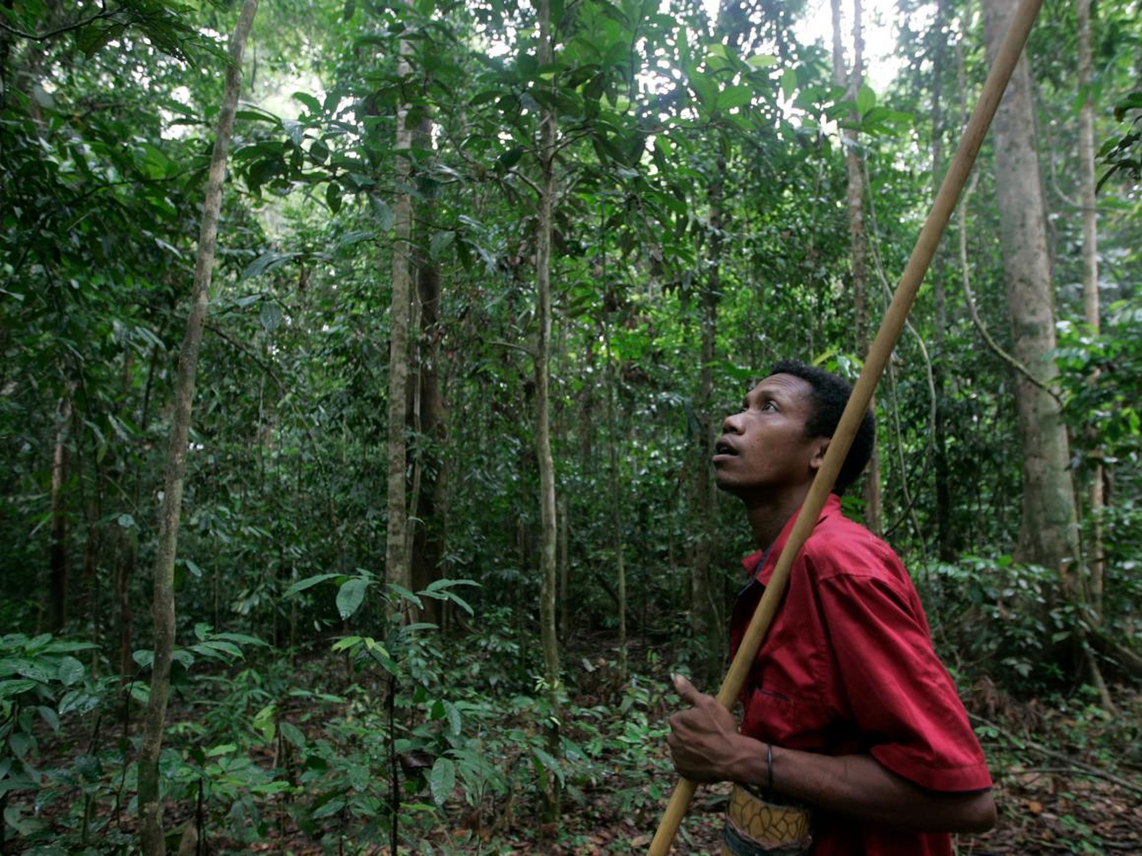 Un hombre de la tribu Batek caza en una selva cerca del Parque Nacional Kuala Koh en el estado malaysiano de Kelantan, el 21 de octubre de 2009.