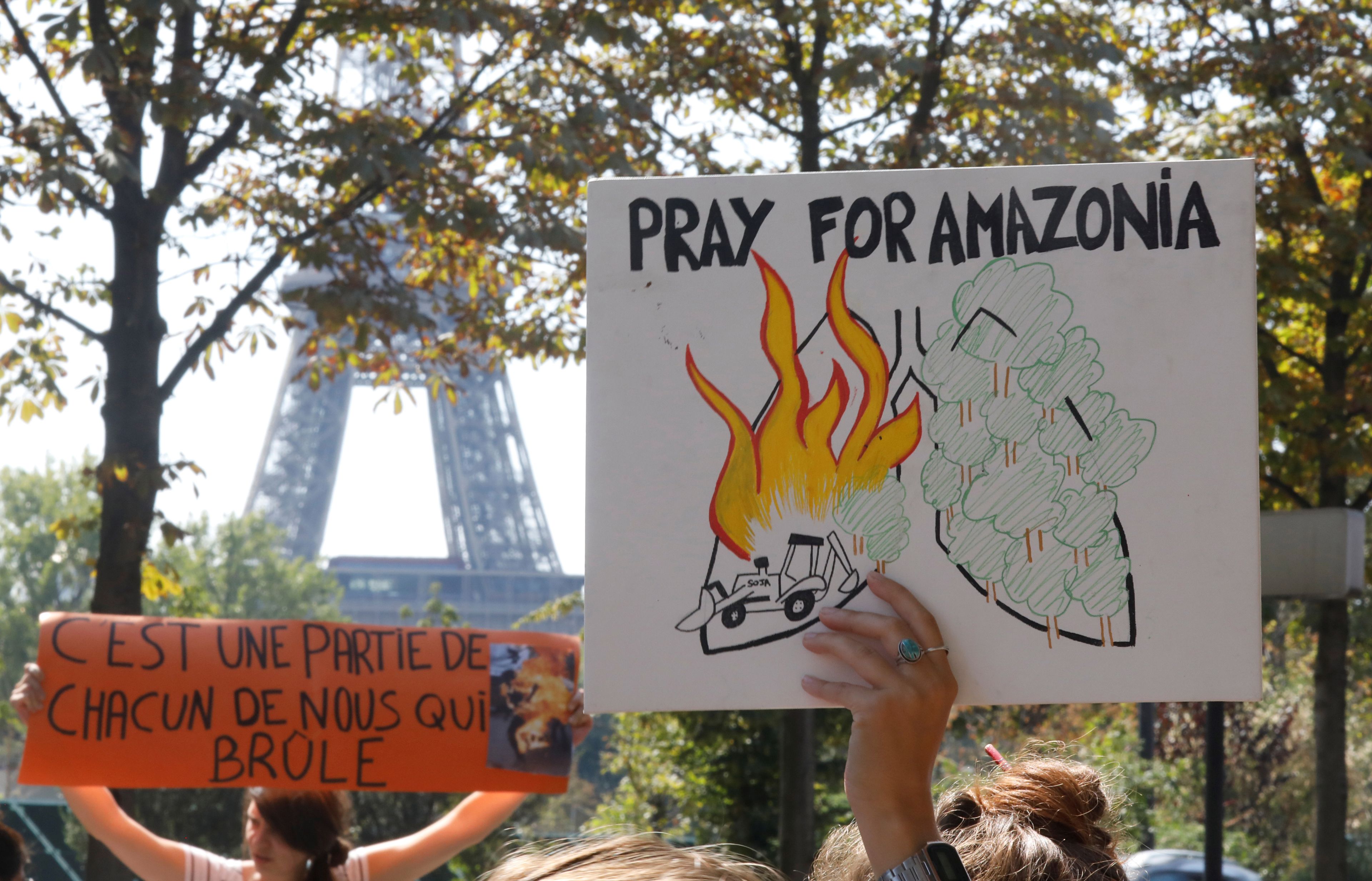 Manifestación en París por el incendio del Amazonas.