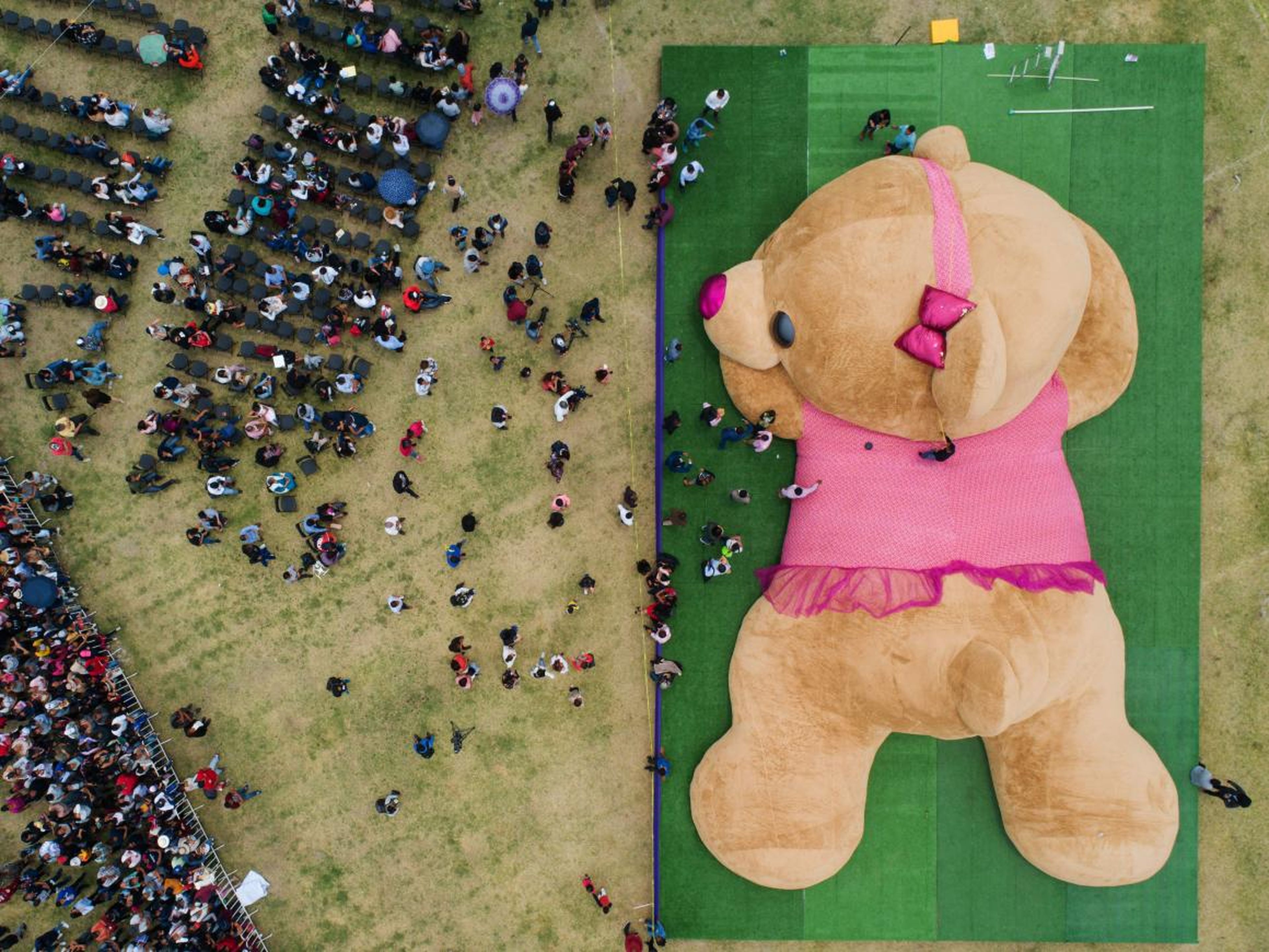 The world's largest teddy bear.
