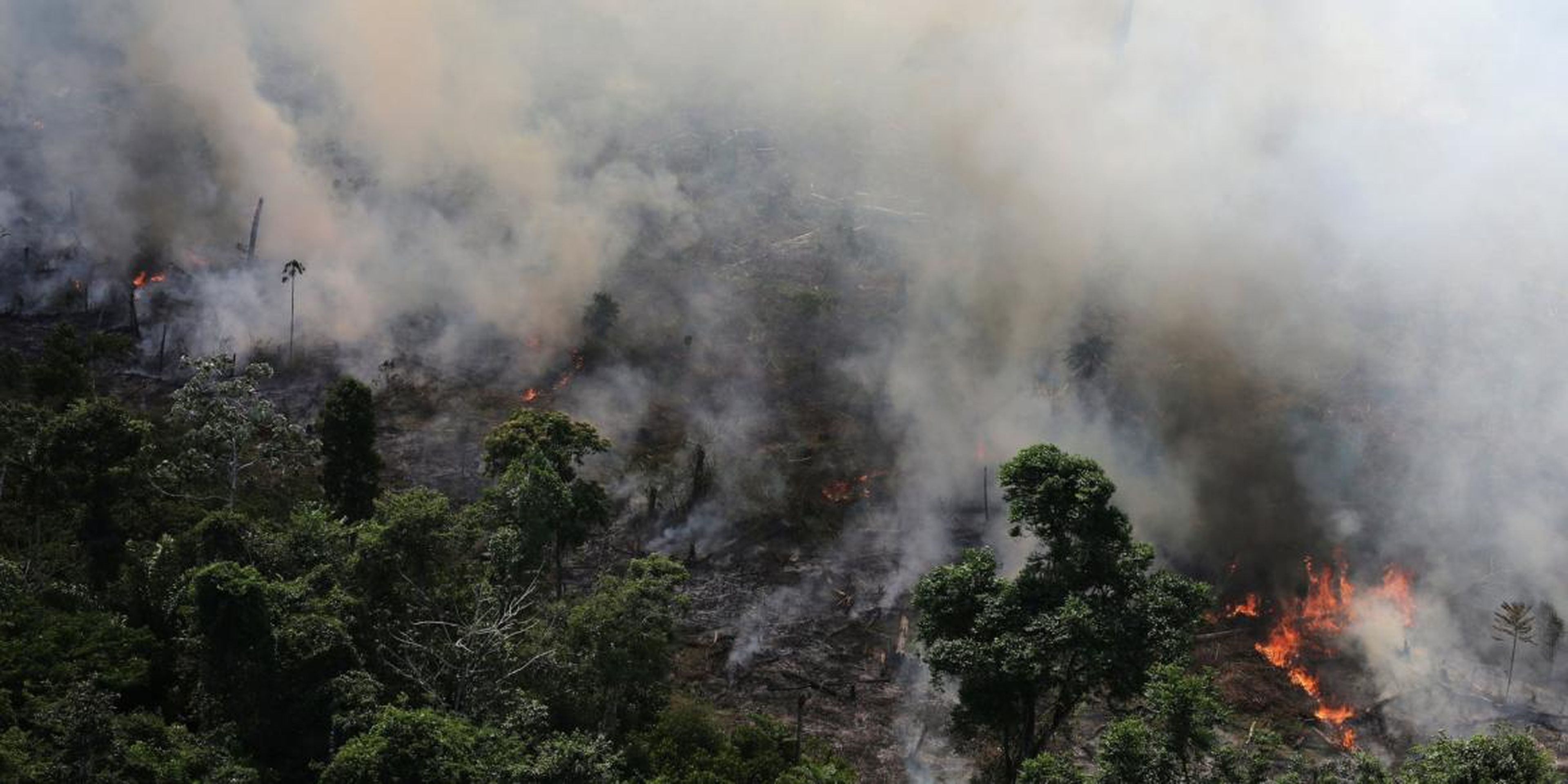 Parte de la selva amazónica ardiendo cerca de la ciudad de Novo Progresso, en Brasil.