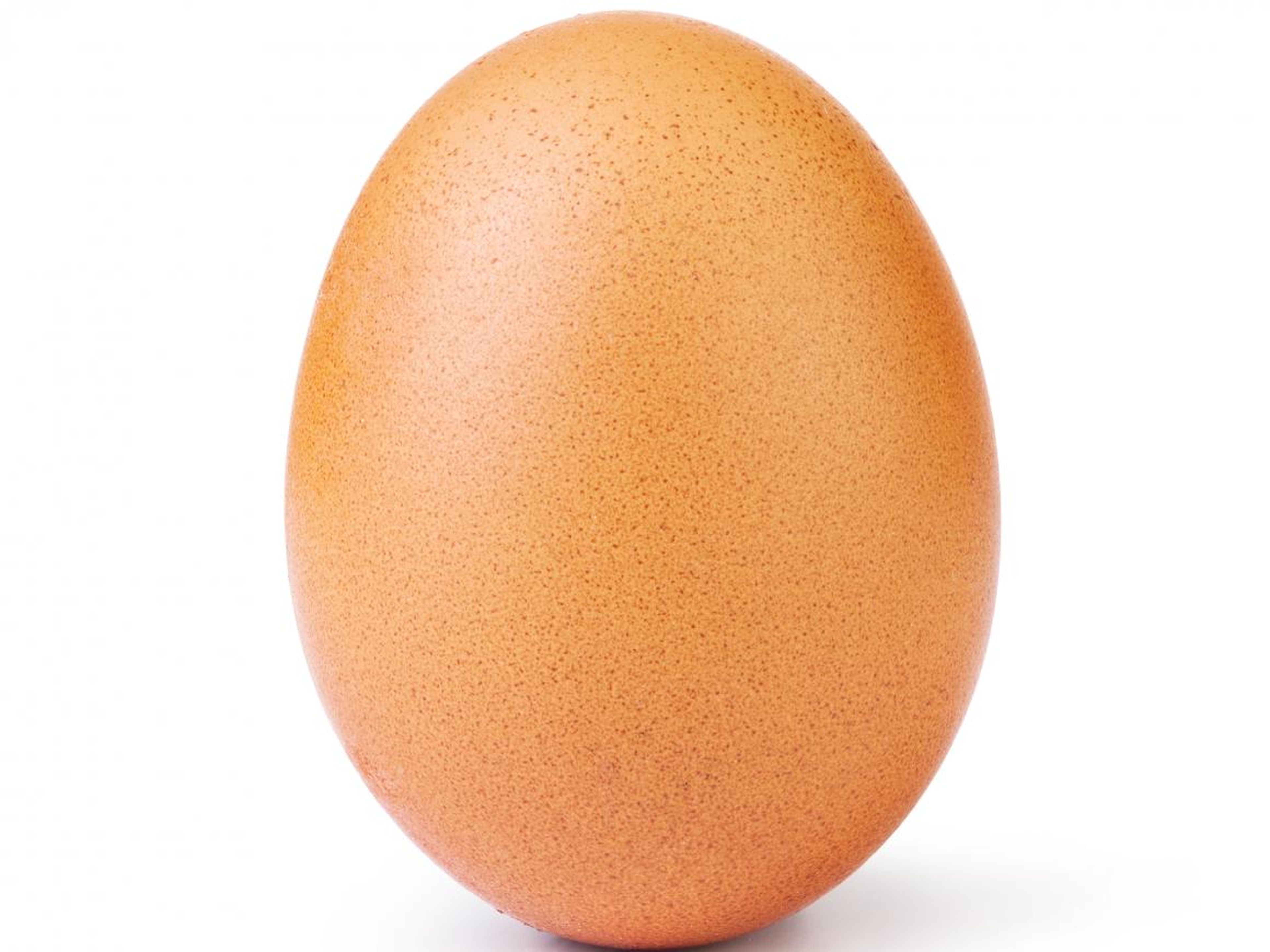 The world record egg.