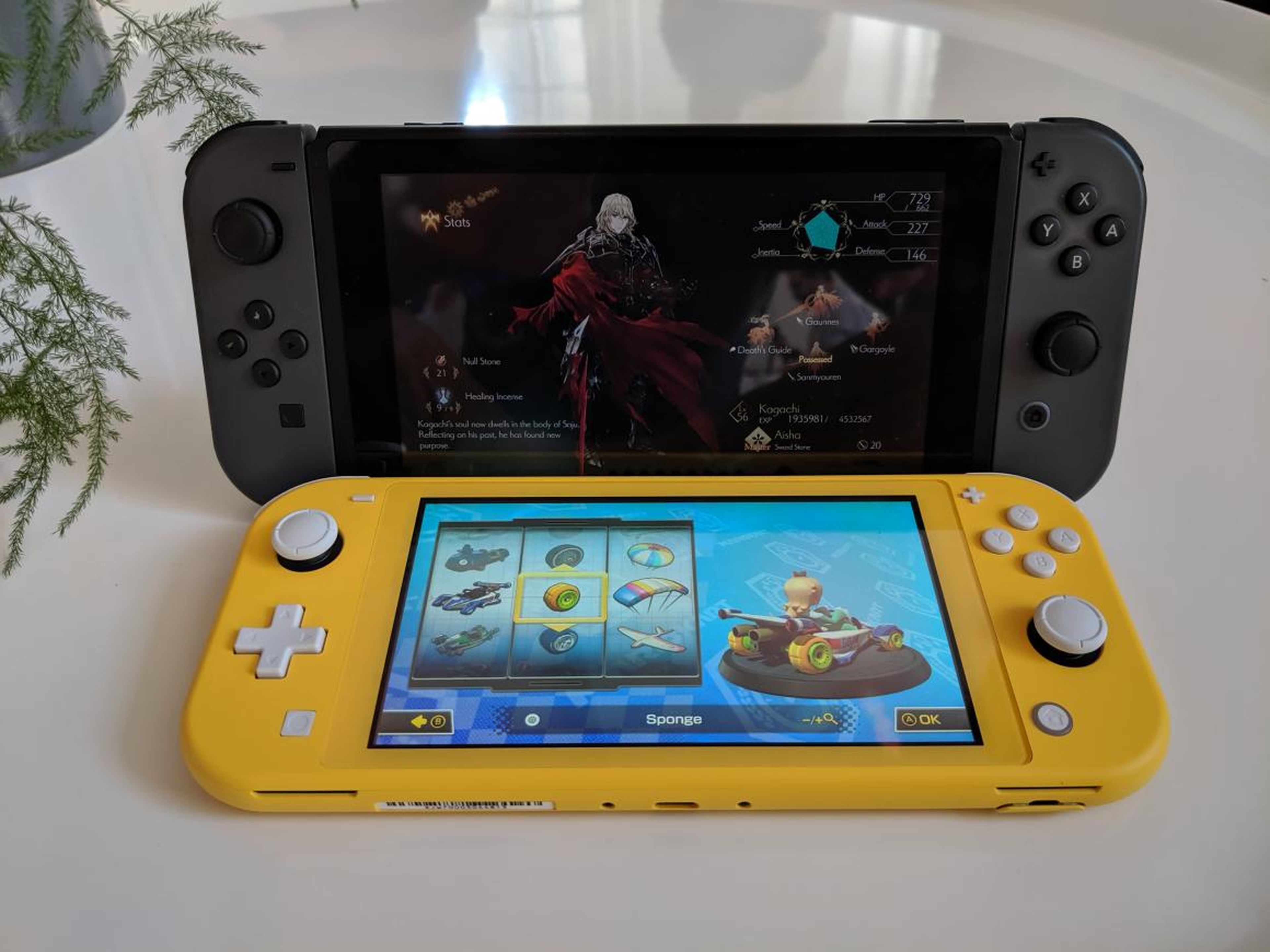 The Switch Lite doesn't have a stand like the original Switch, so it will be tough to play games with a friend or use a different controller.