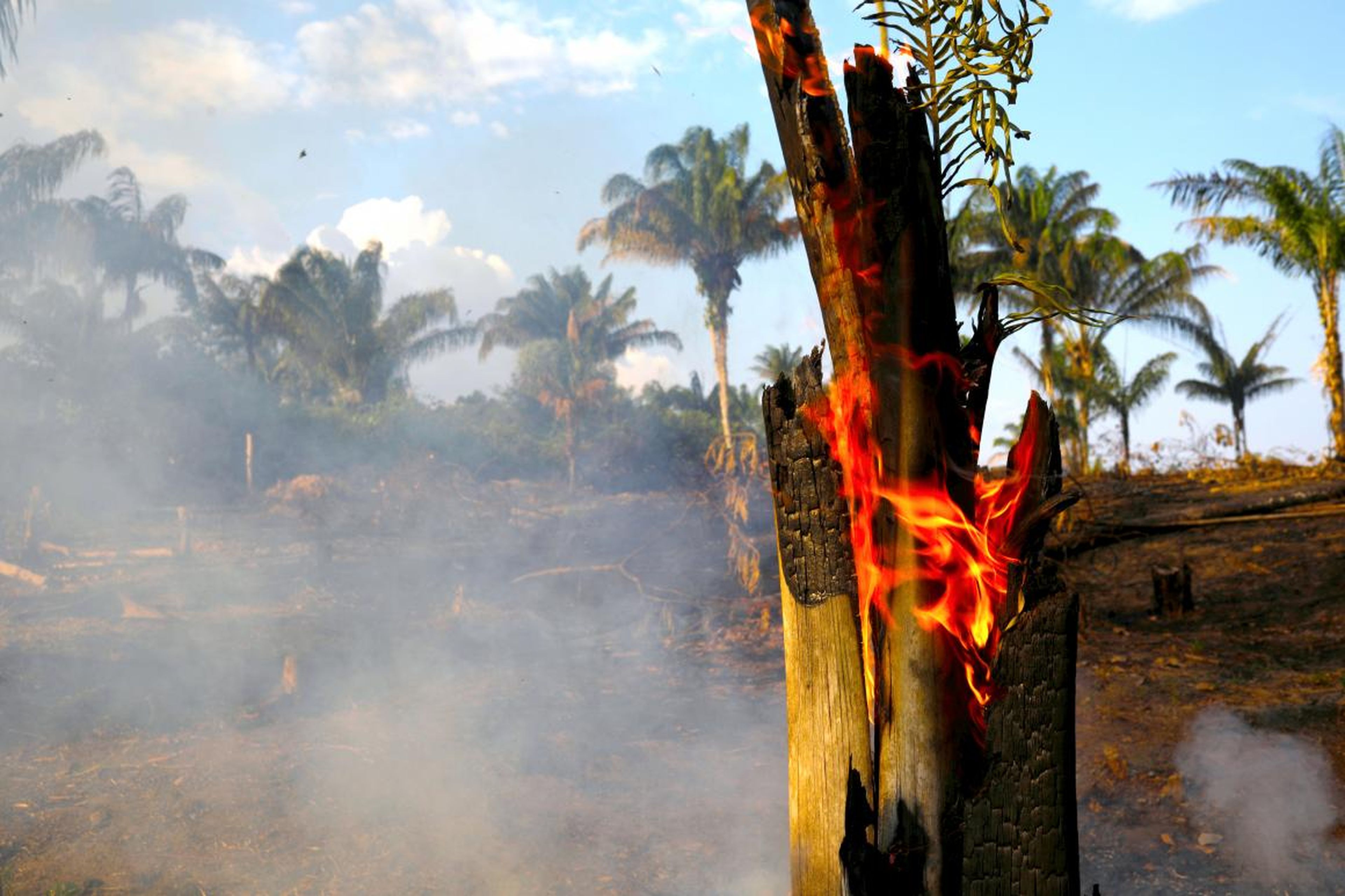 Ha habido más de 74.000 incendios en la Amazonia brasileña en lo que va de año.