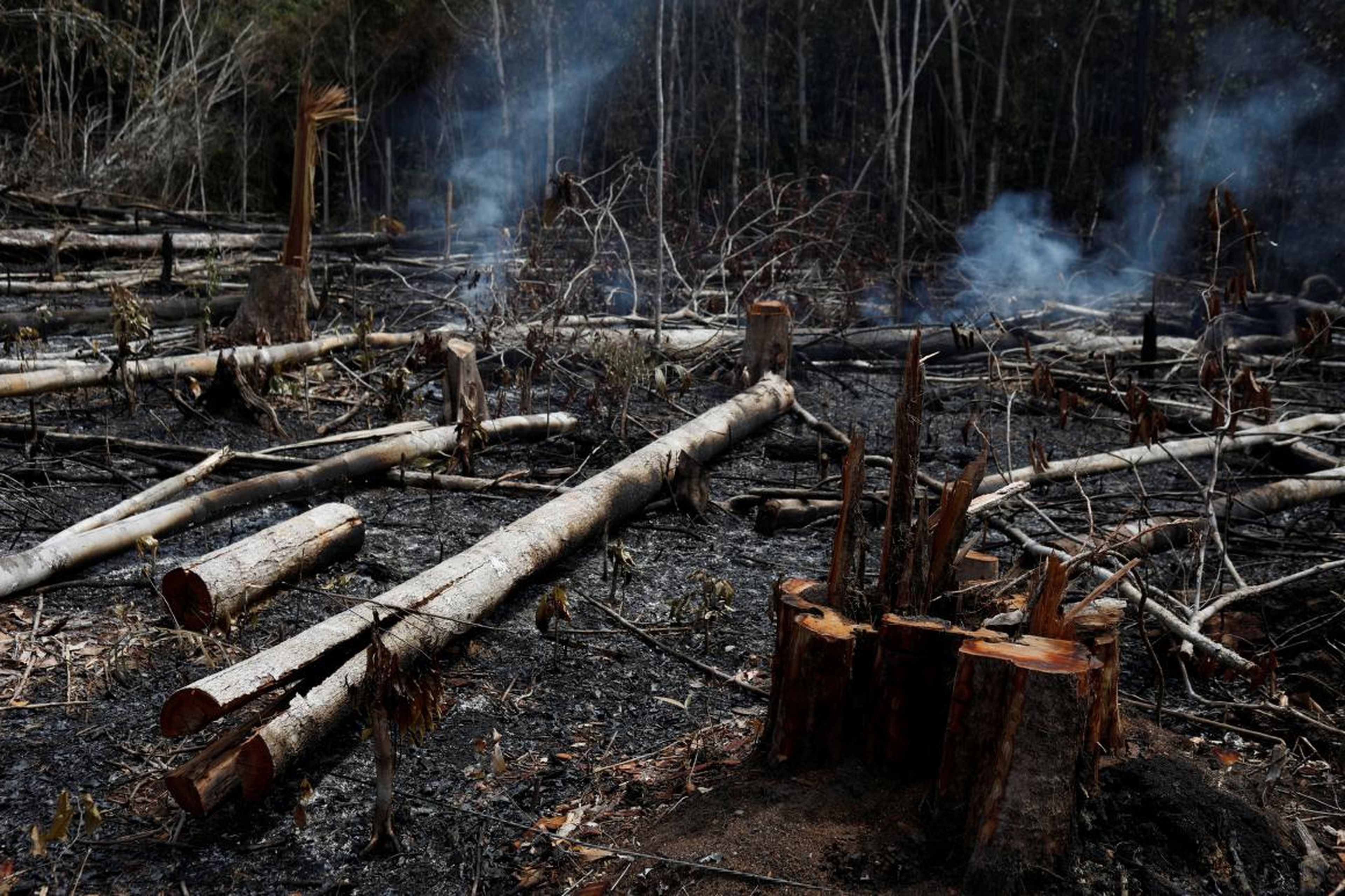 Un pedazo de selva amazónica ardiendo al ser talada por madereros y agricultores en Novo Airao, Brasil