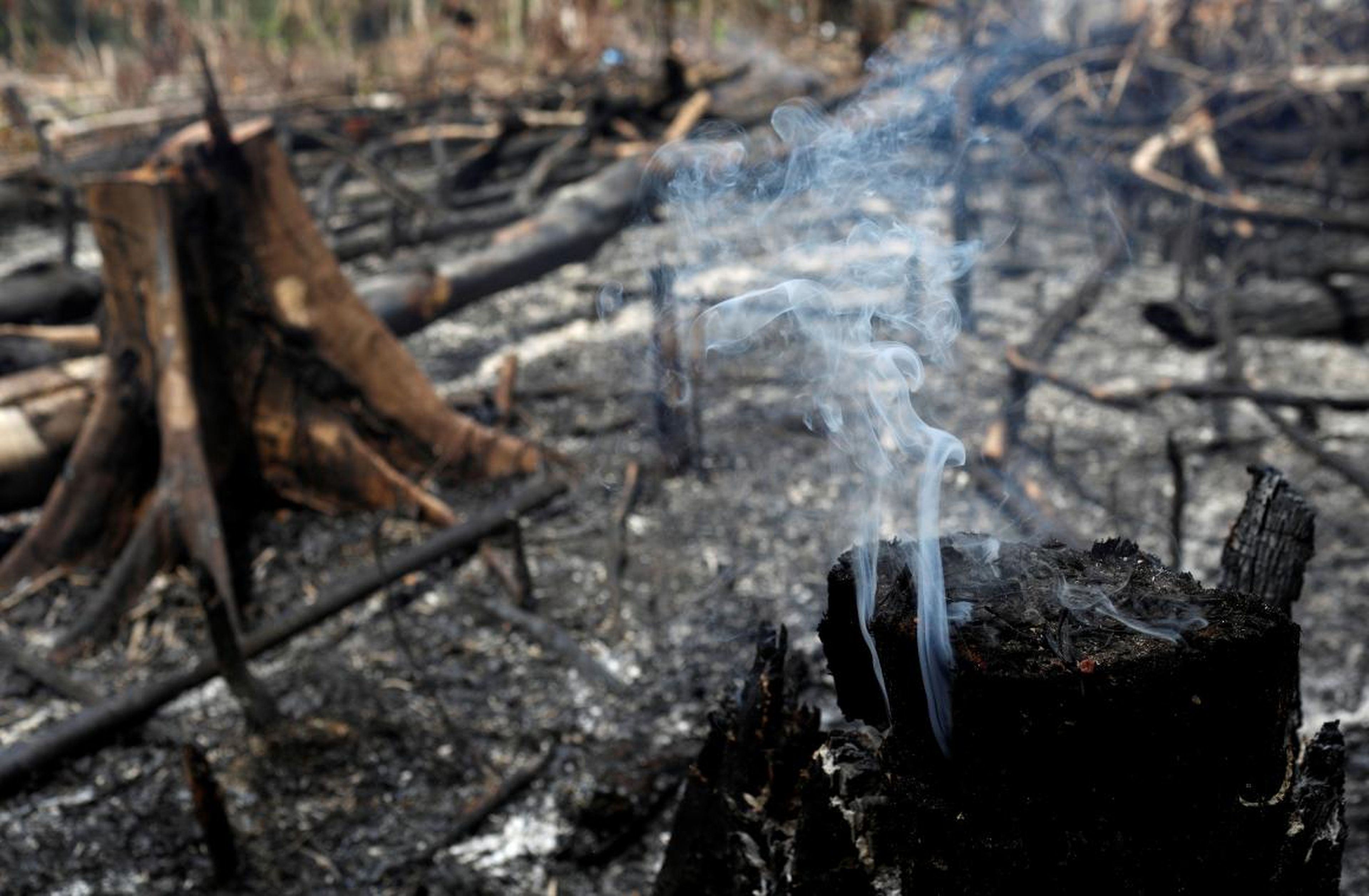 Un tramo de selva amazónica se quema al ser talado por madereros y agricultores en Novo Airao, estado de Amazonas, Brasil, el 21 de agosto de 2019.
