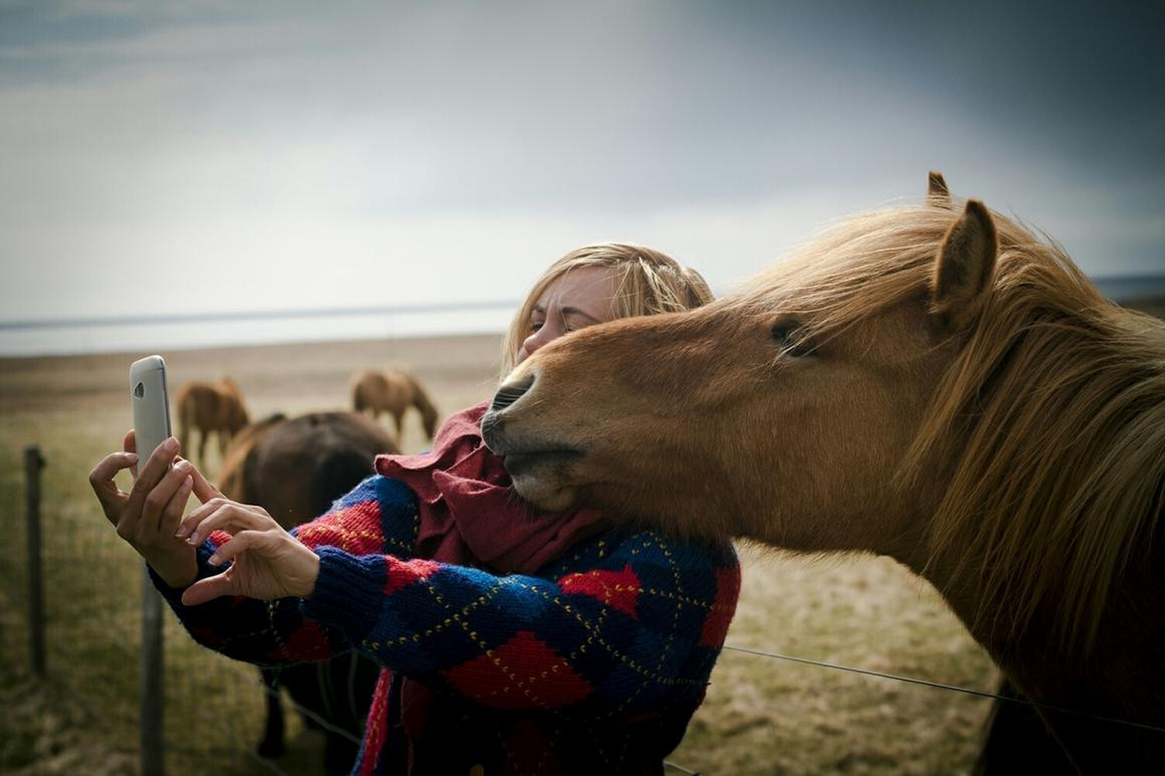 Y este precioso caballo también demuestra cómo posar para un selfie.