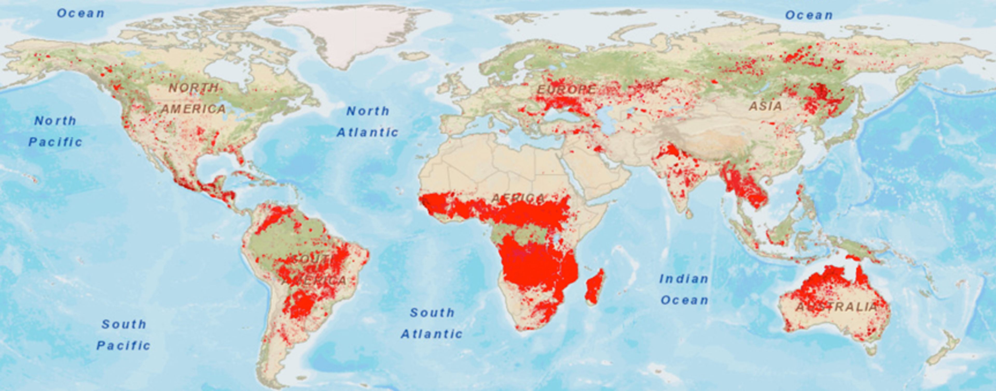 Área quemada en el mundo durante 2018 según el satélite MODIS de la NASA.