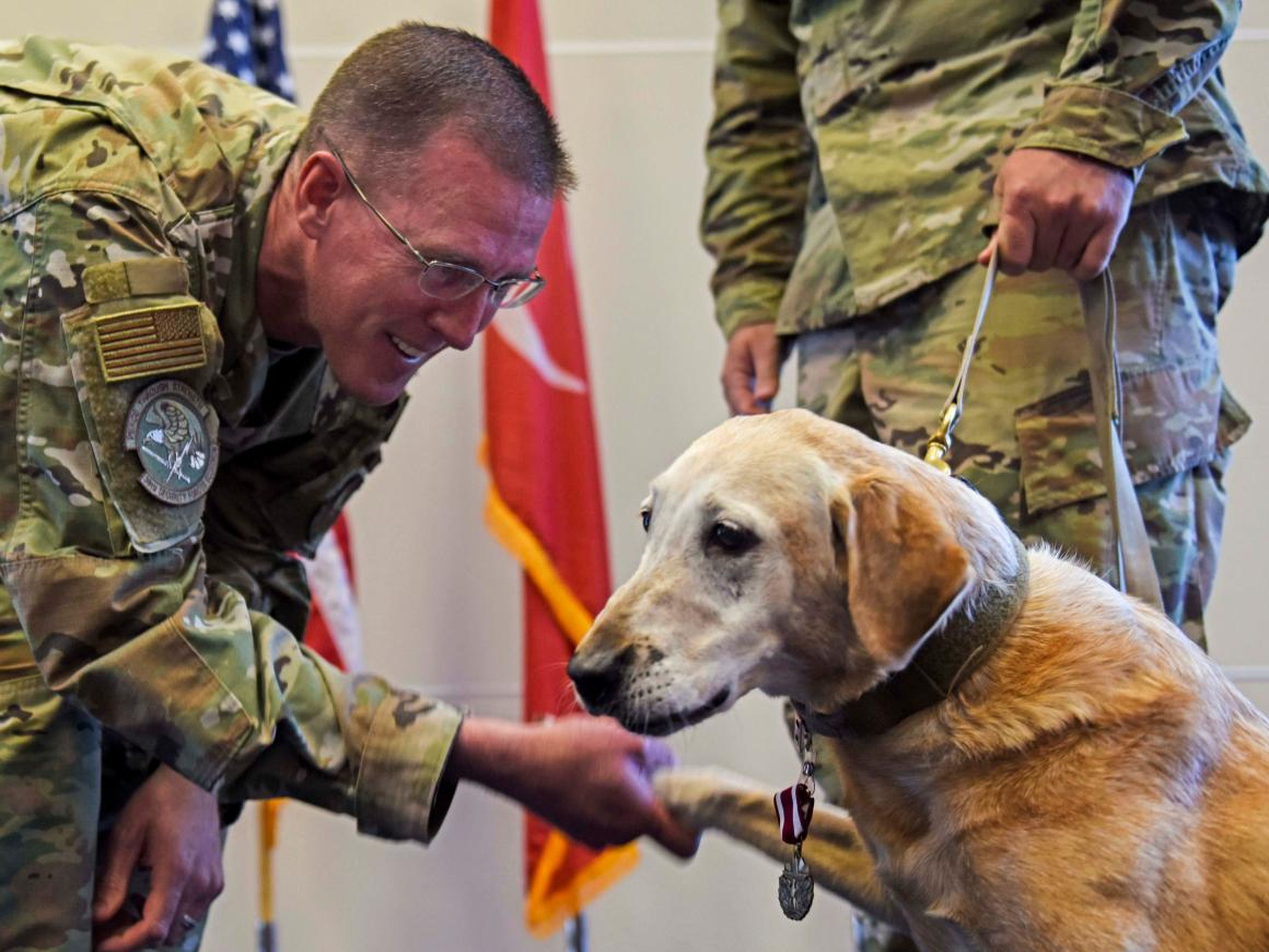 El teniente coronel de la Fuerza Aérea de los EE. UU. Kevin McMahon, 39° comandante del Escuadrón de las Fuerzas de Seguridad, felicita a Autumn, perro de trabajo militar del SFS, durante la ceremonia de retiro de este último.