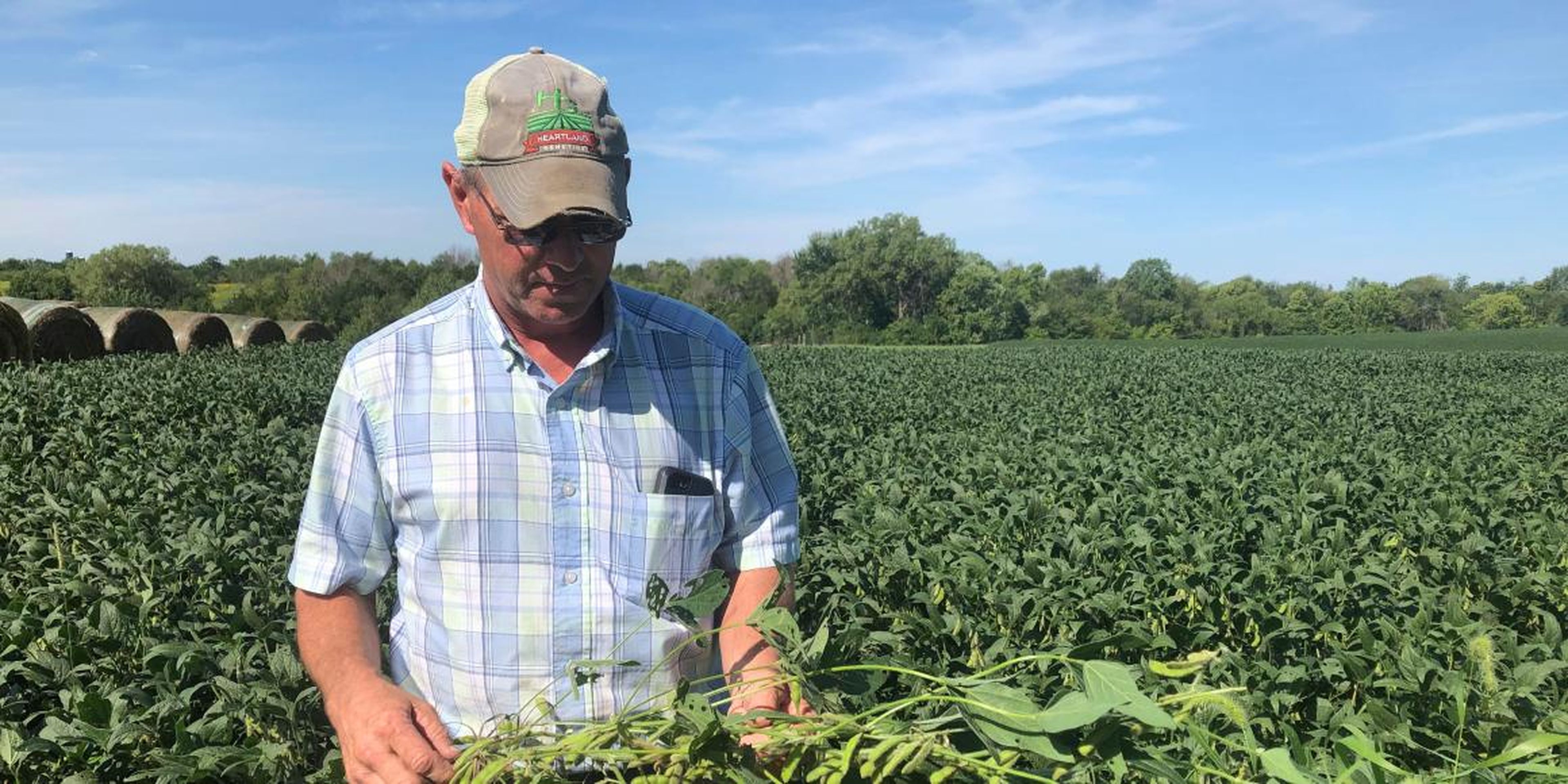Farmer Randy Miller is shown with his soybeans.