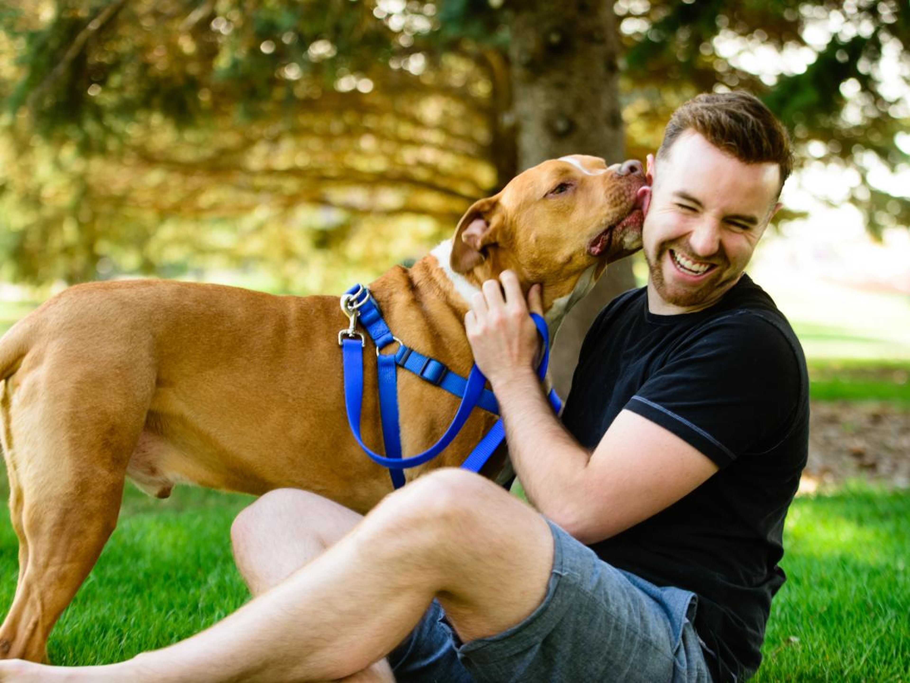 Get a pet. Being a dog owner may signal that a man is nurturing and capable of making long-term commitments. It can also make someone appear more approachable.