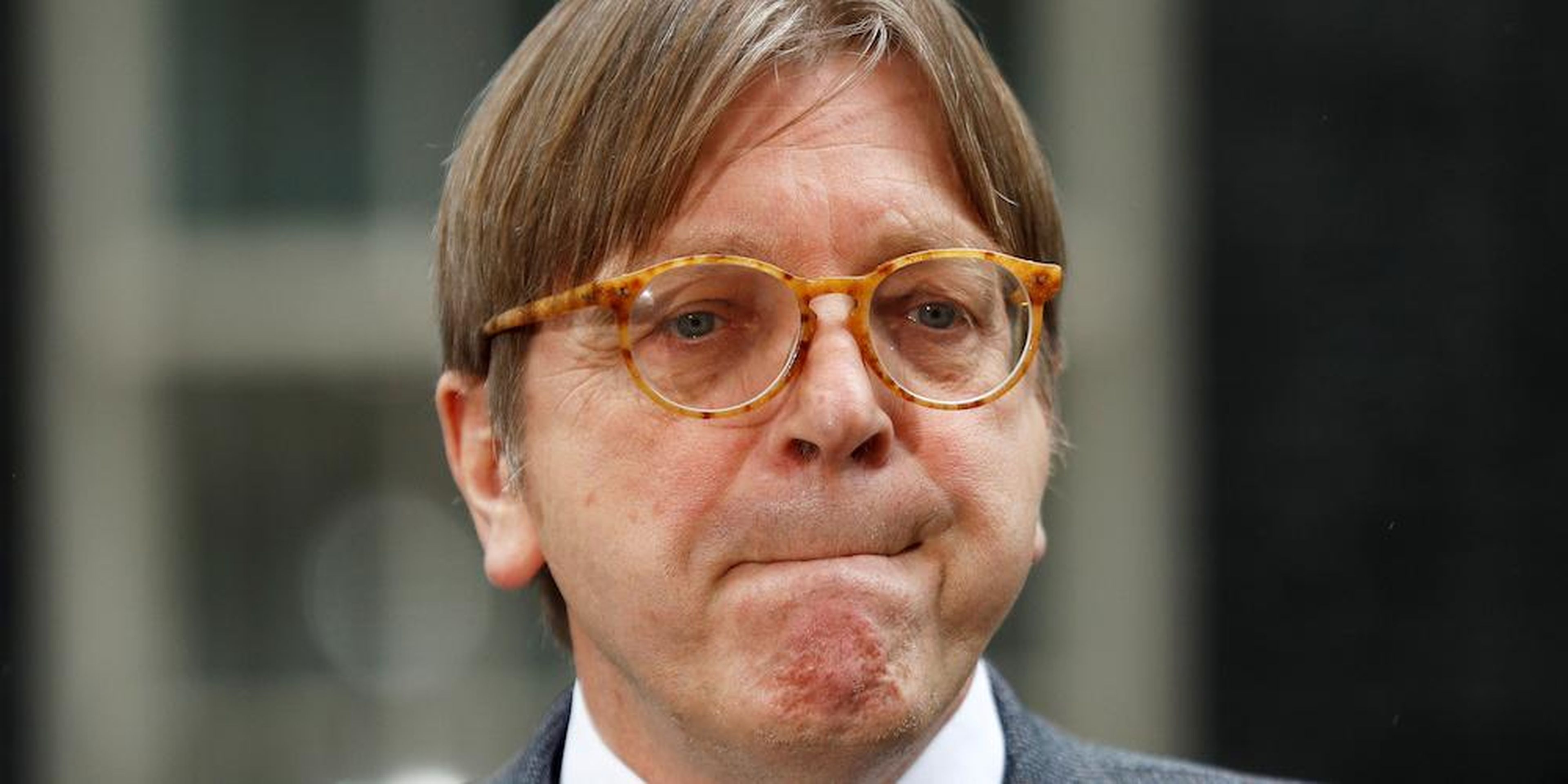 Guy Verhofstadt heads the European Parliament's Brexit Steering Group.