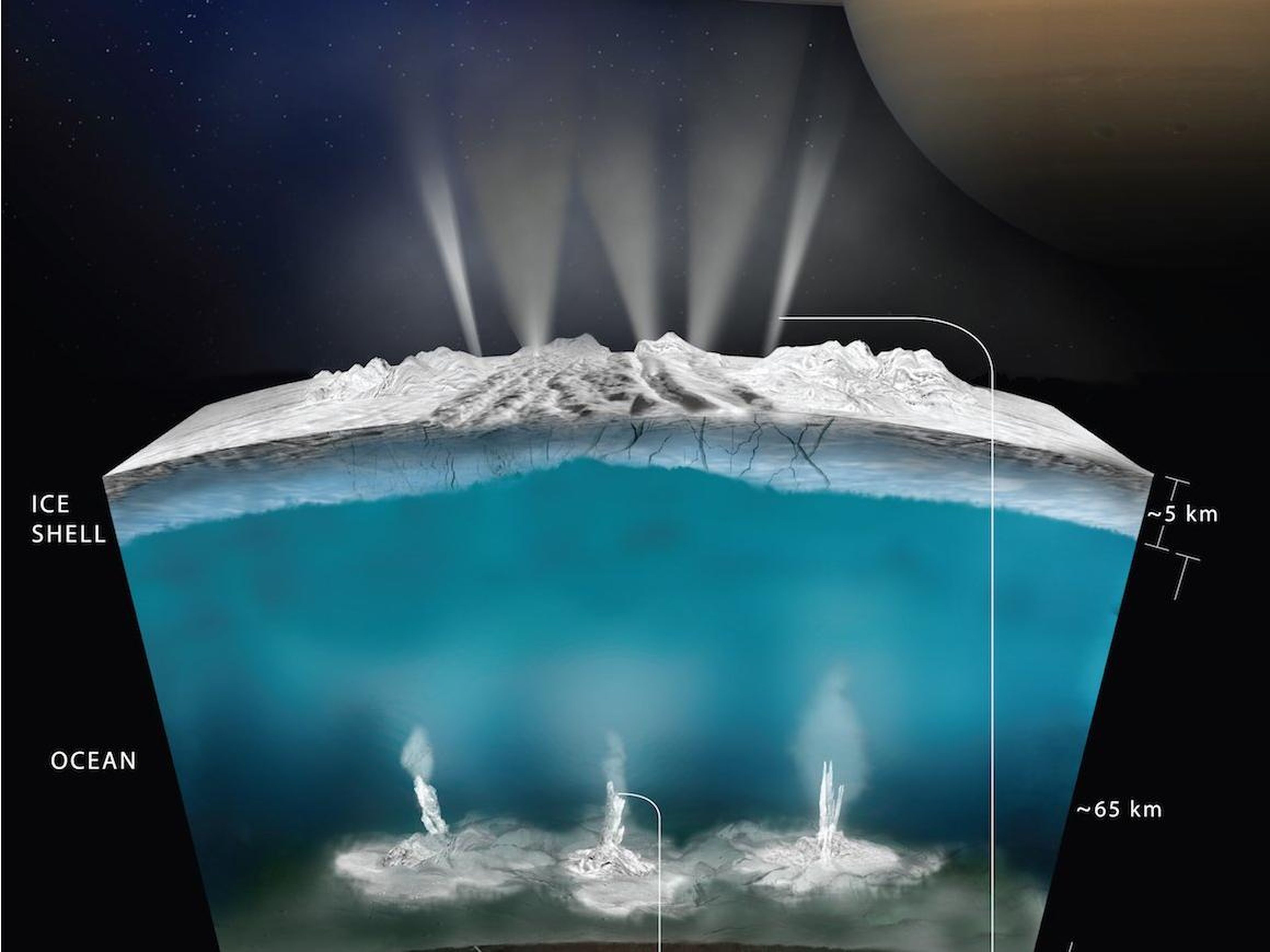 A NASA model shows what the interior ocean on Saturn's moon Enceladus could look like.