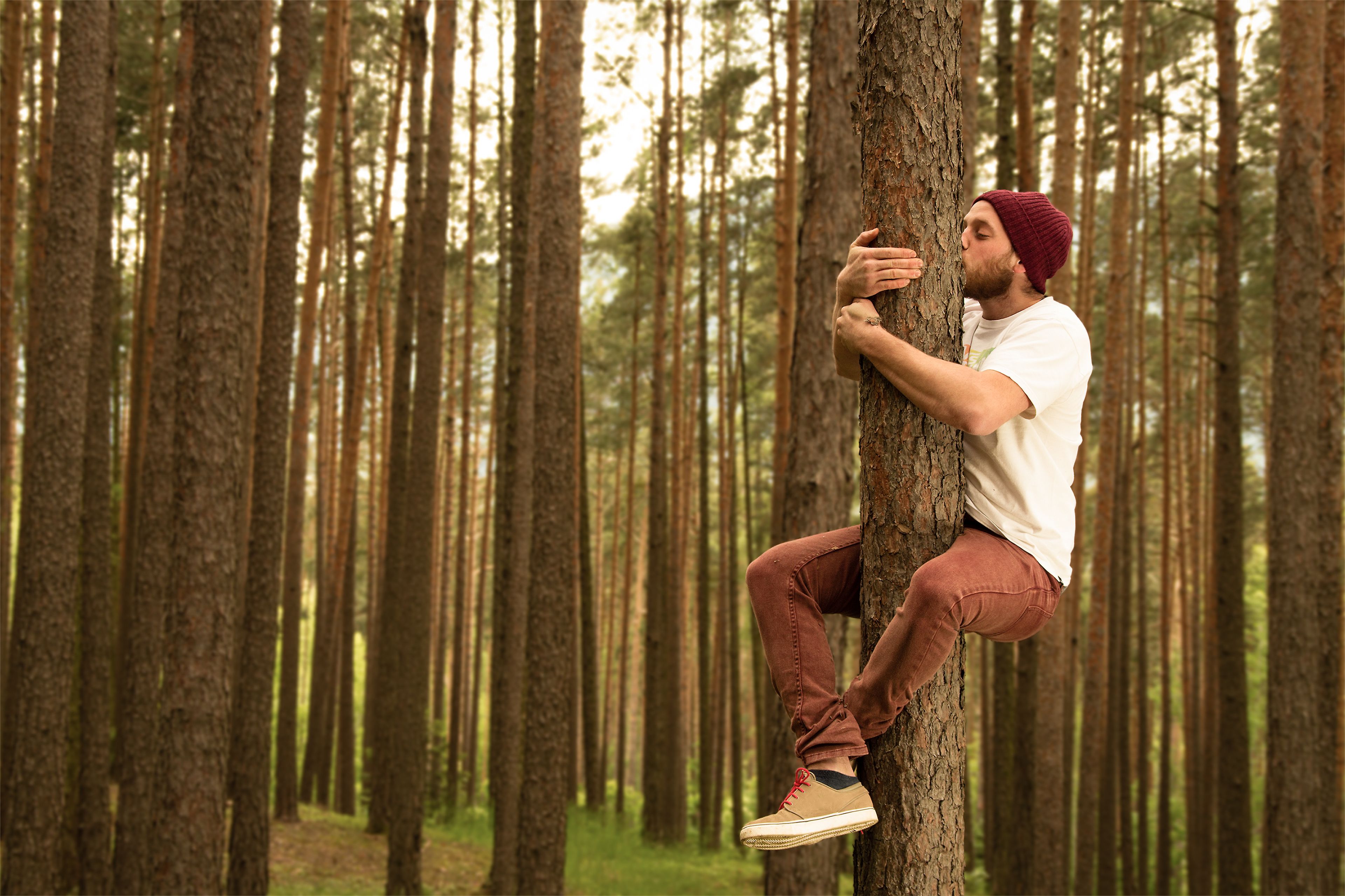 Забираться в чащу. Человек в лесу. Сидит в лесу на дереве. Обнимает дерево. Мужчина обнимает дерево.