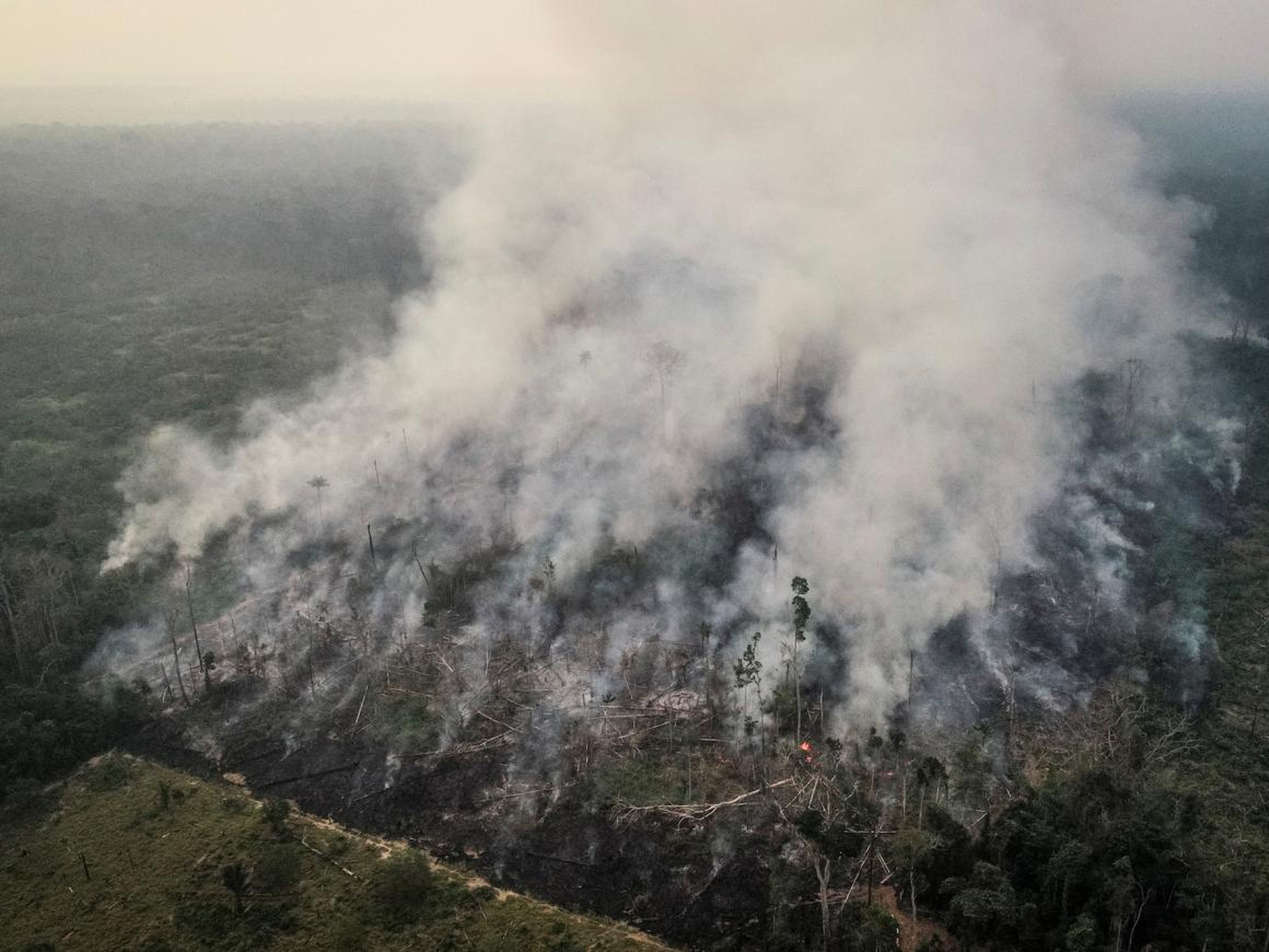 An aerial view of a tract of the Amazon jungle burning as it gets cleared by loggers and farmers, August 23, 2019.