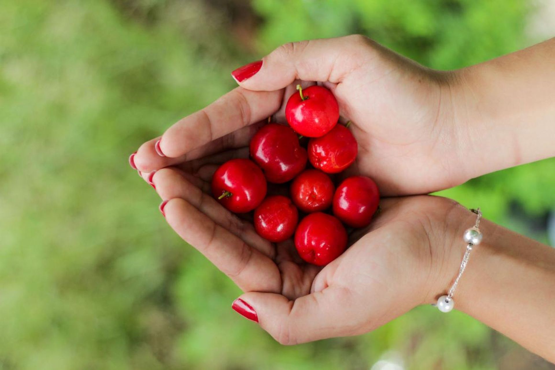 Los Alimentos Más Peligrosos Del Mundo Que Podrían Matarte Business Insider España 4747