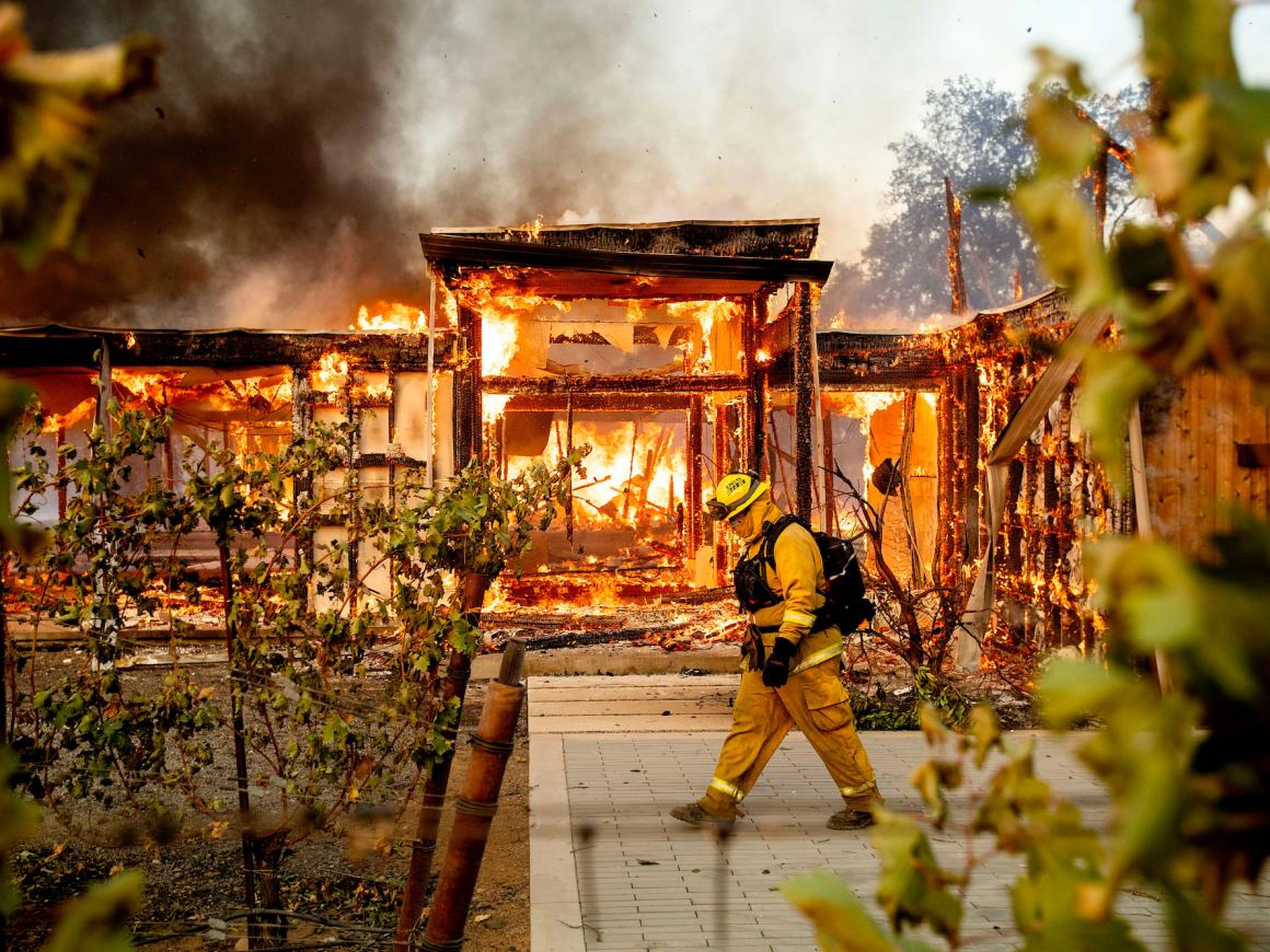 Dry vegetation in hot regions lights up easily, which means more frequent, bigger wildfires.