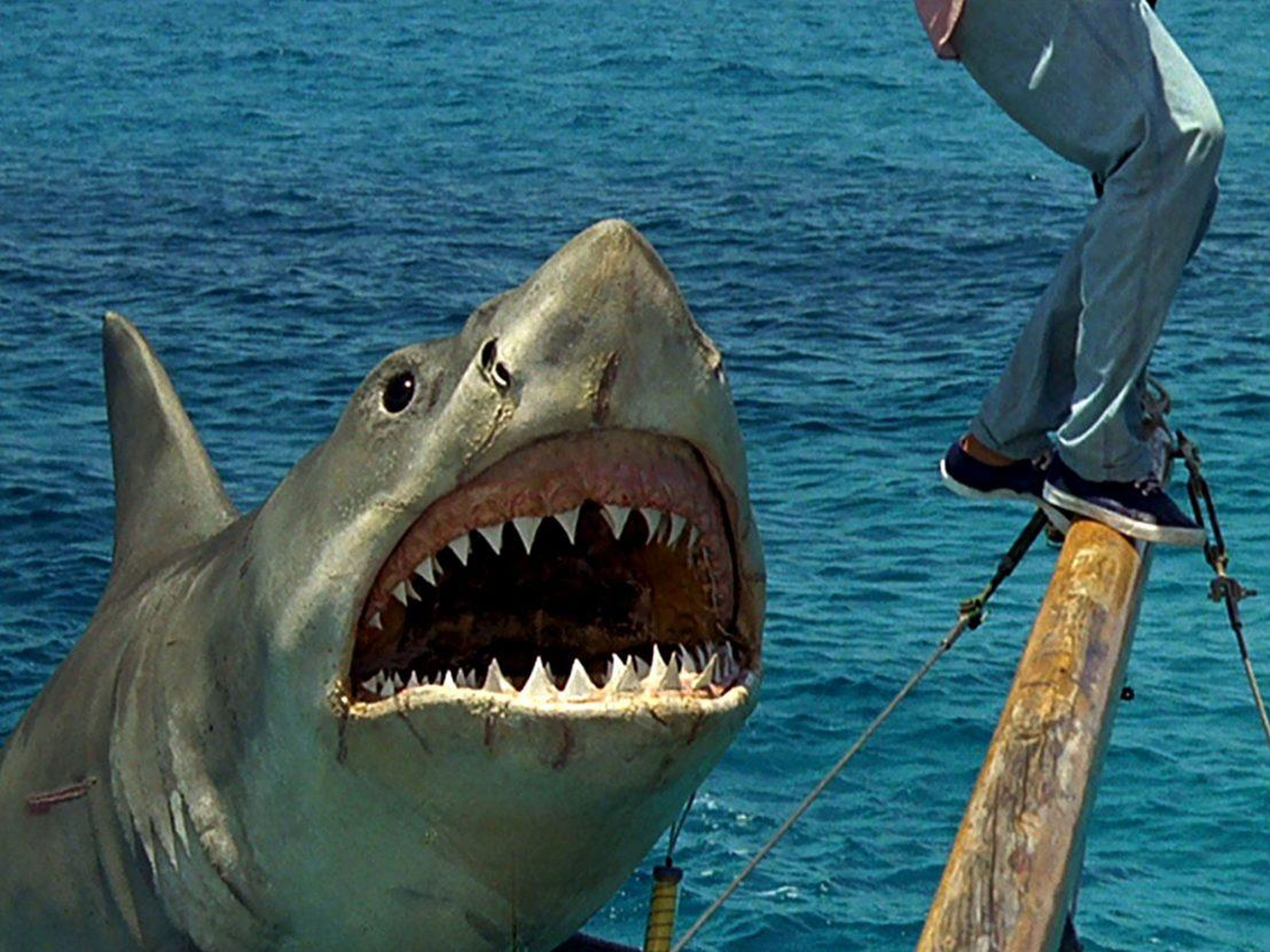 'Jaws: The Revenge' (1987)