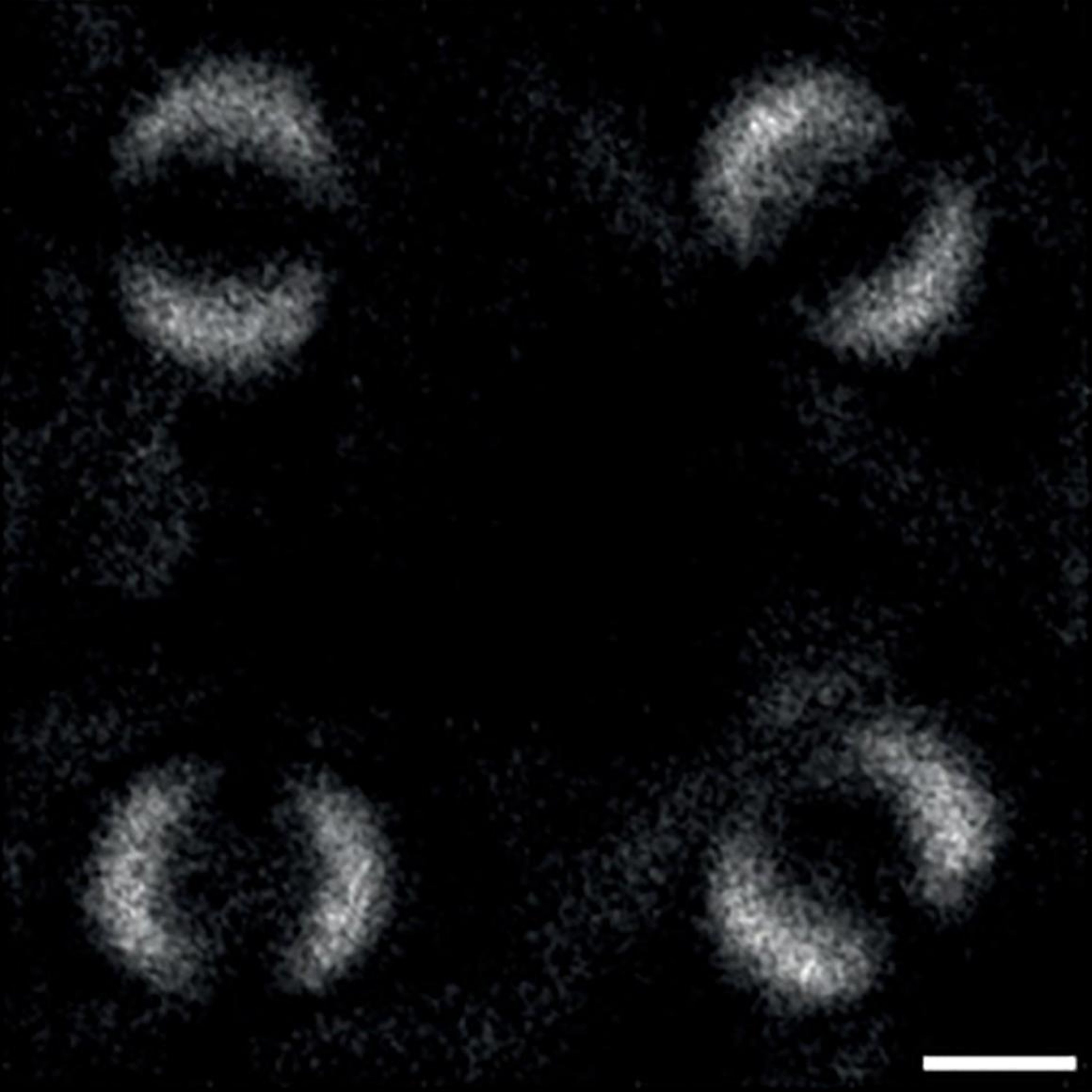 The first-ever photo showing quantum entanglement.