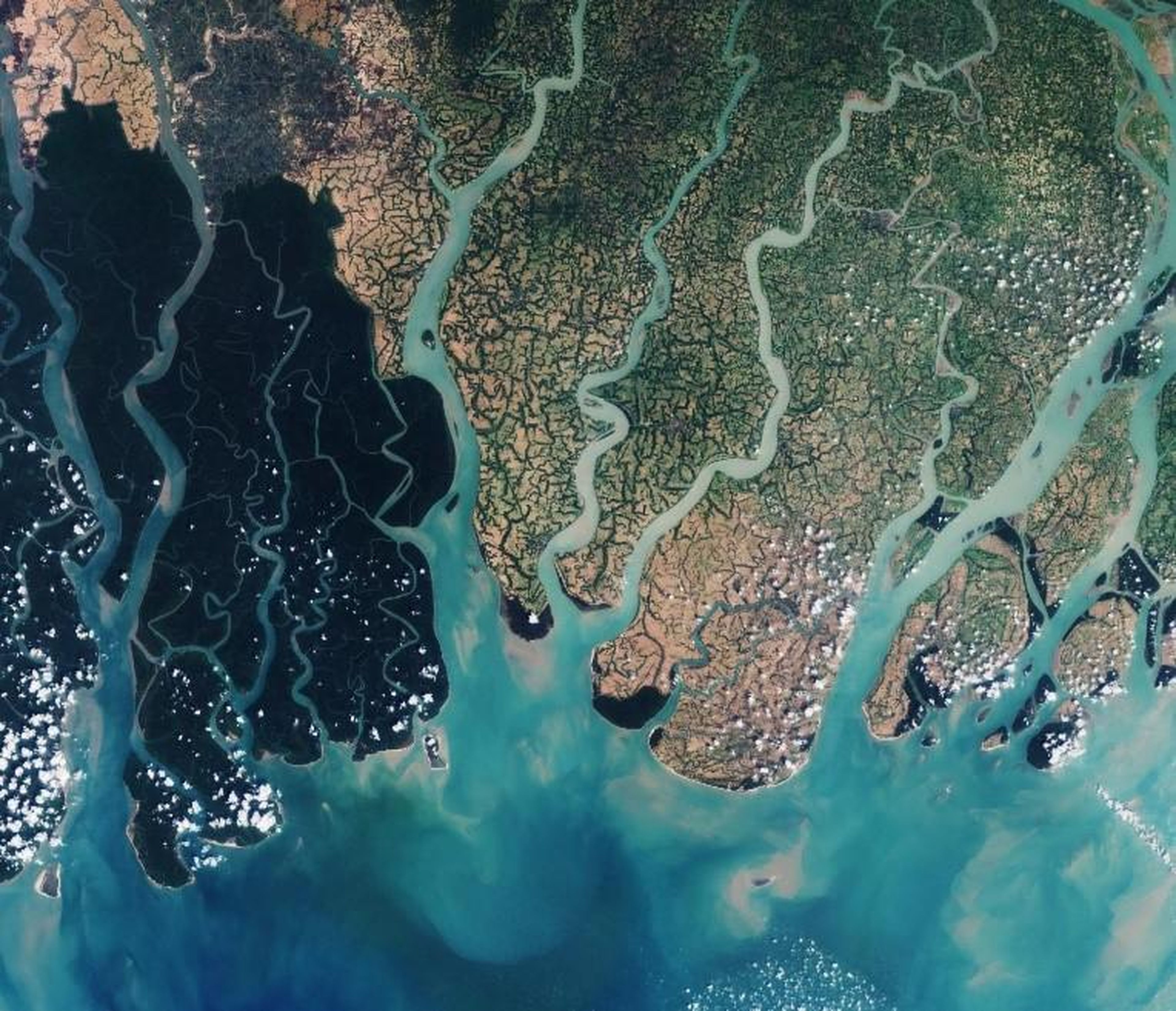 A March 2016 satellite view of the eastern part of the Sundarbans in Bangladesh shows seasonally flooded river basins.