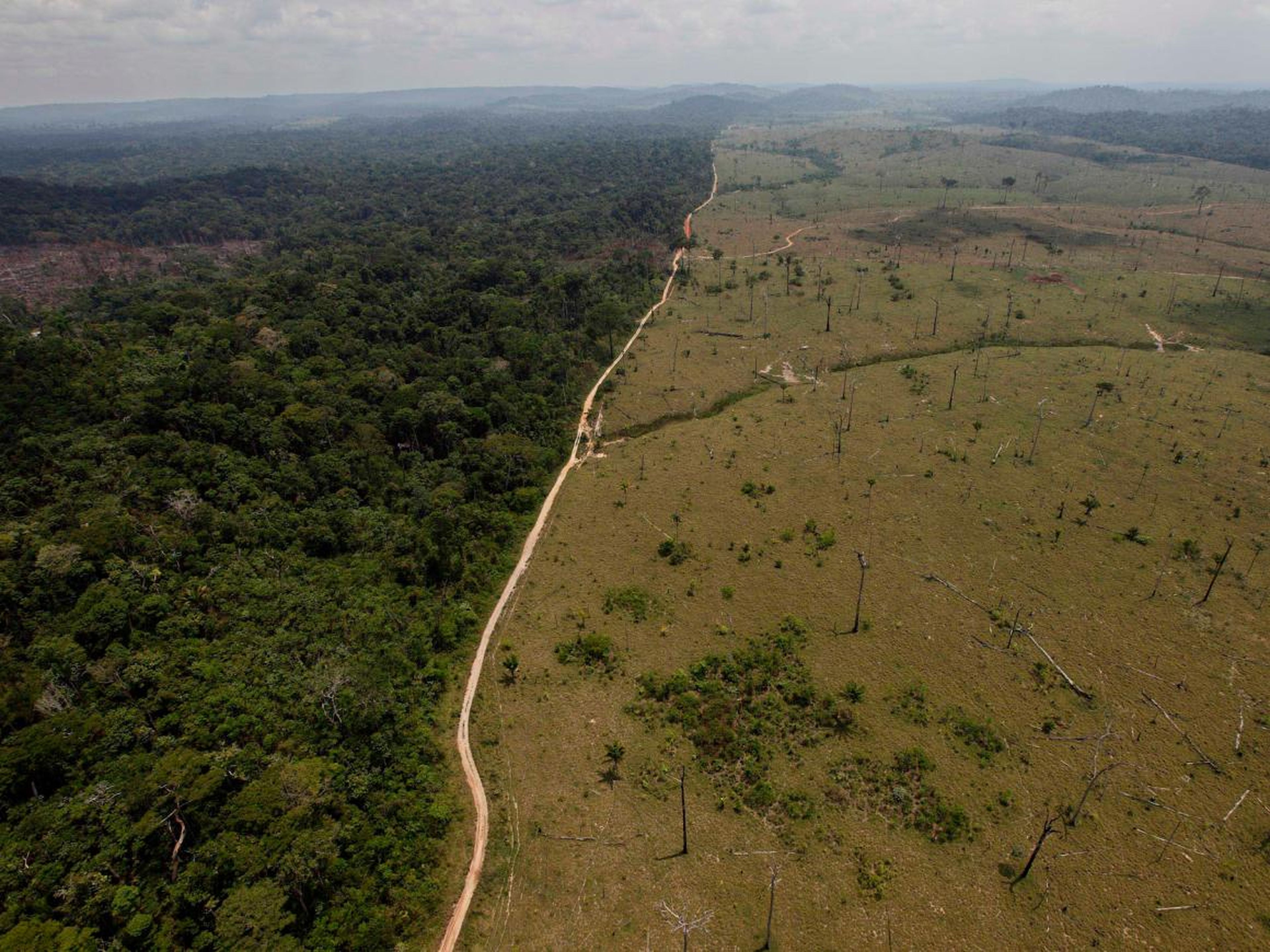 A September 15, 2009 photo shows a deforested area of the Amazon rainforest near Novo Progresso in Brazil's northern state of Para.