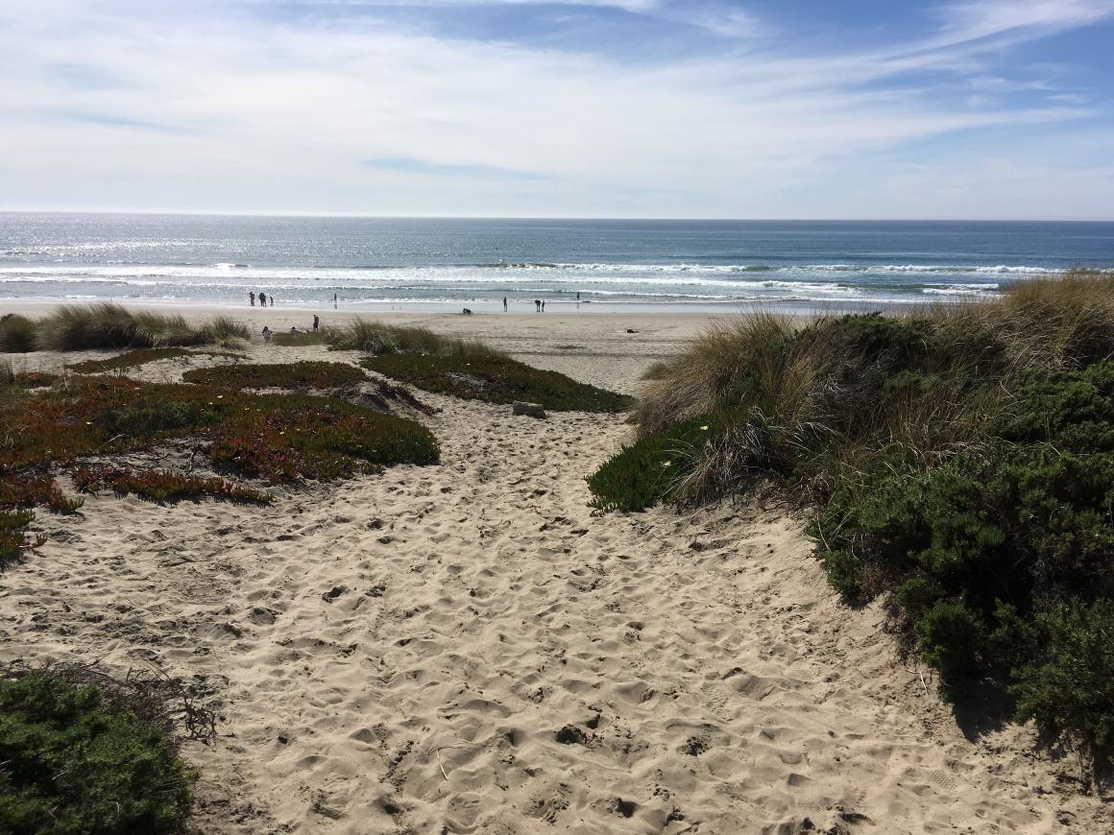 Shoreline view of Monterey Bay, CA from Moss Landing.
