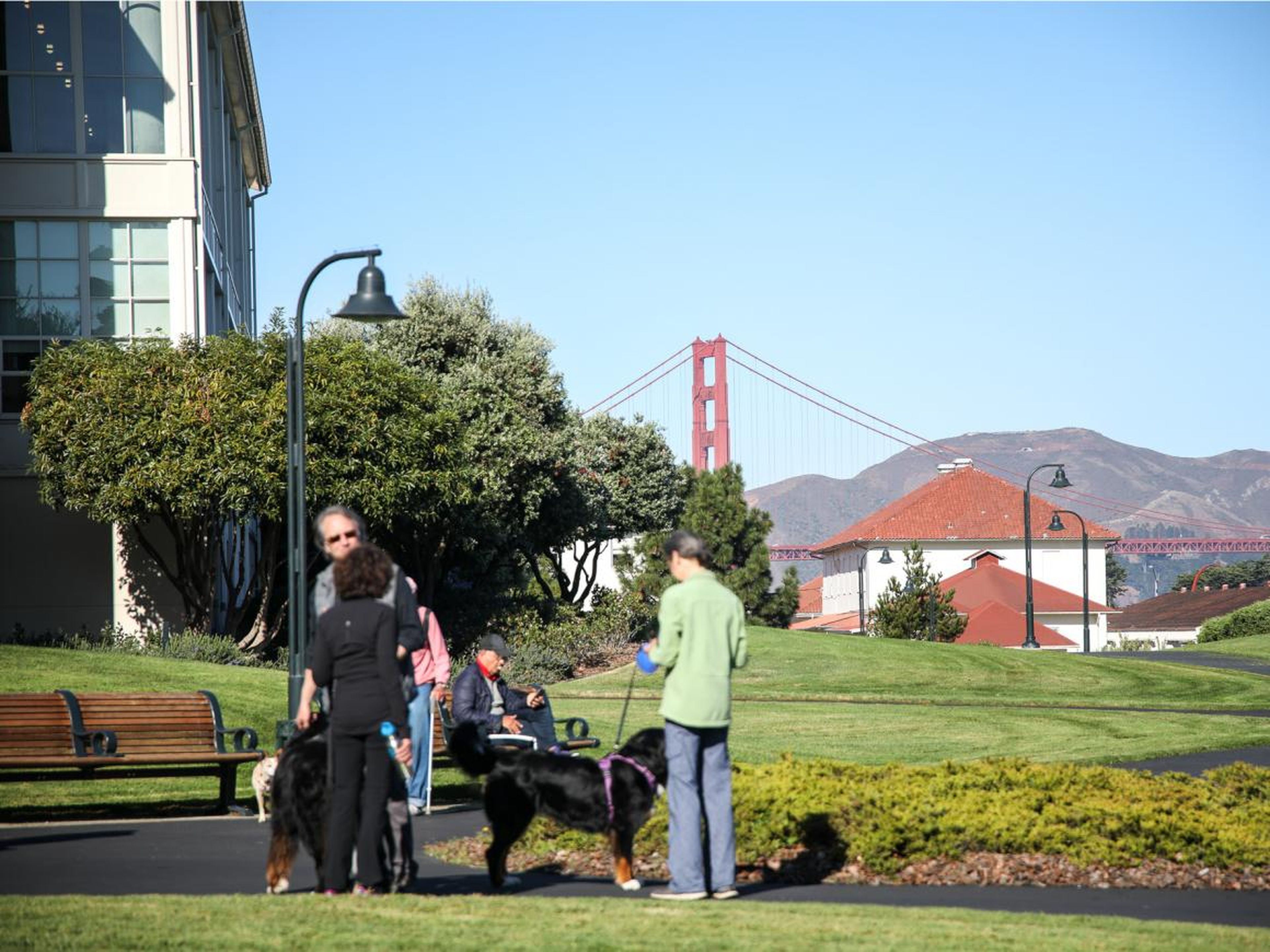 El Golden Gate Bridge se ve a lo lejos desde un parque fuera del Letterman Digital Arts Center.