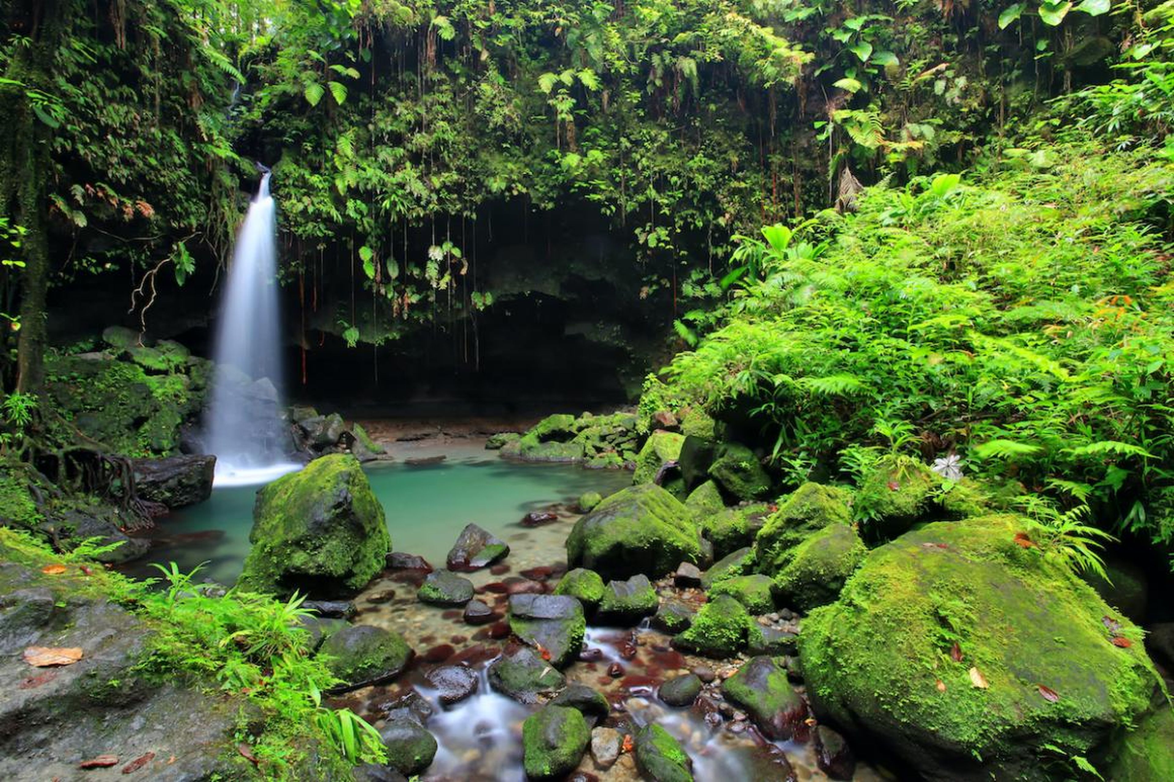 Dominica es un parque de aventuras caribeño con cascadas y playas de arena negra.
