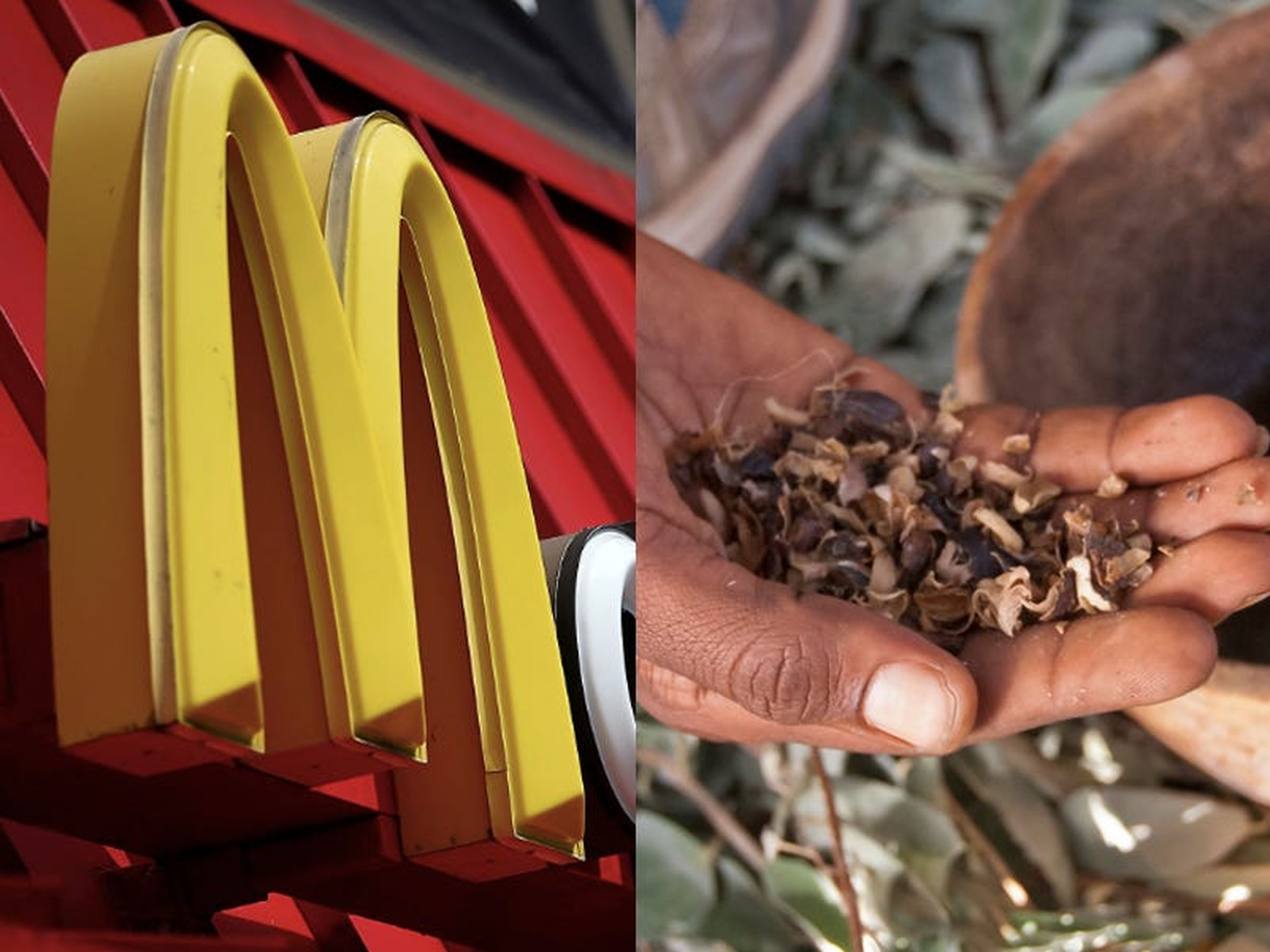 McDonald's se ha comprometido a donar una "porción significativa" de su paja a Ford, según CNBC.