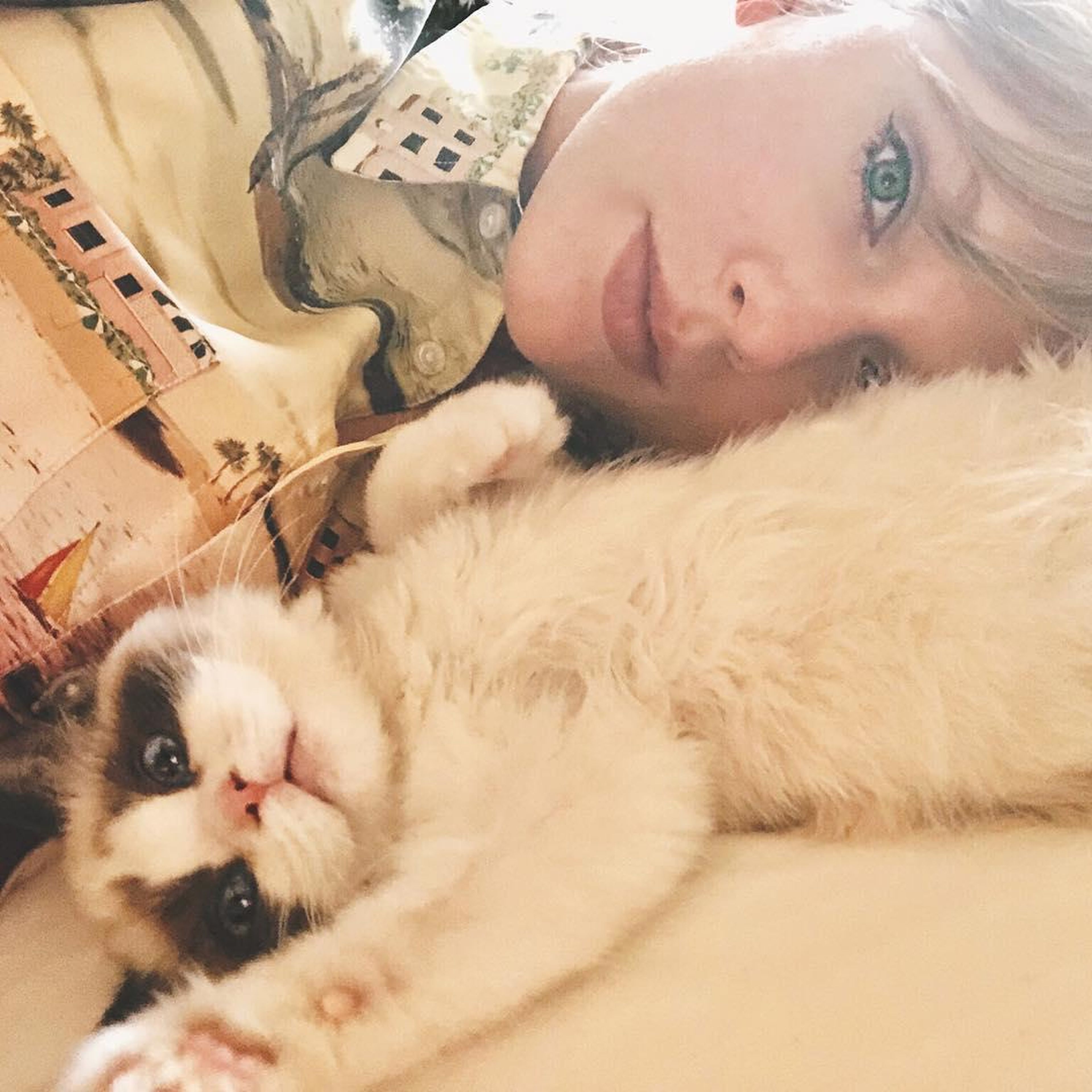 Taylor Swift y uno de sus gatos, Benjamin Button.