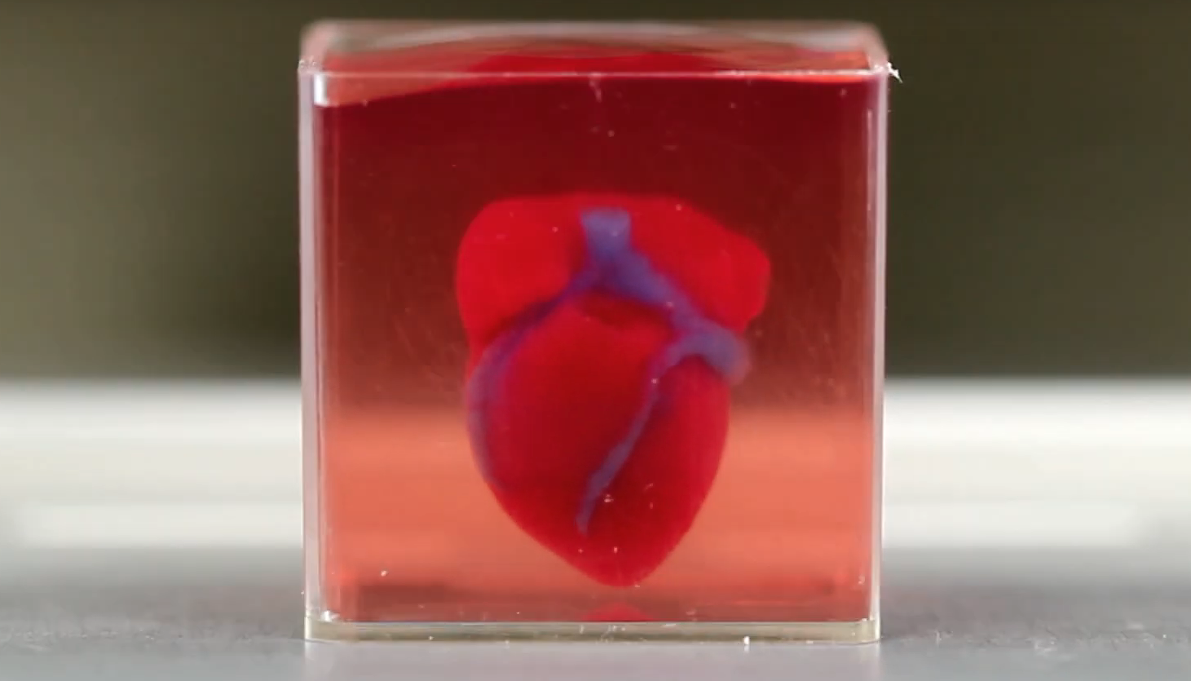 Corazón creado mediante bioimpresión impresión 3D